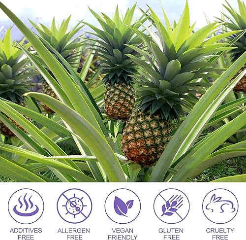 Miniatura 7 de Gomitas de piña para mujer, pH 60 unidades, equilibrio de pH para mujeres, probióticos vaginales, mejora el sistema inmunológico, sabor a piña