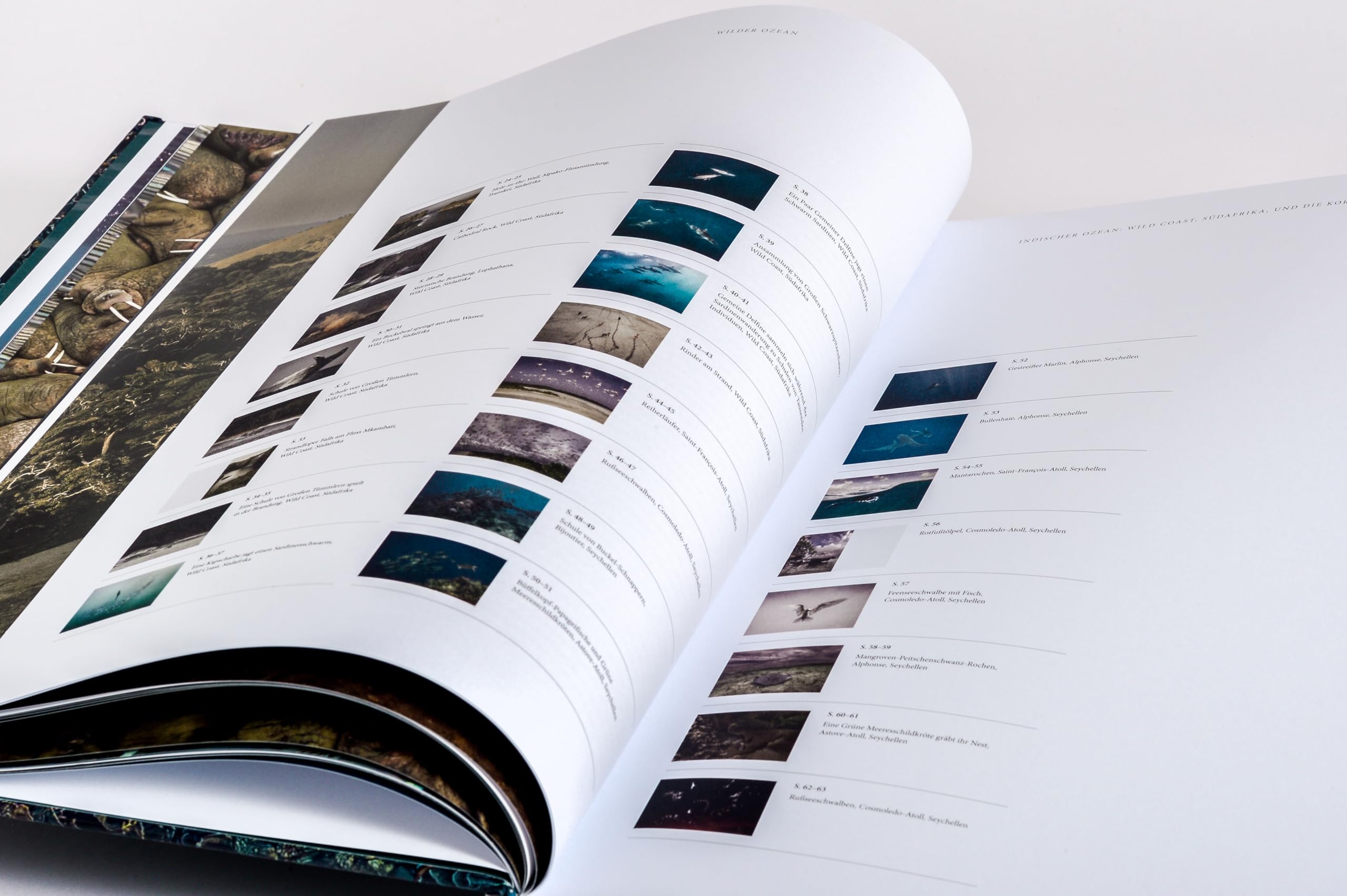 Wilder Ozean: Eine Reise in die ungezähmte Natur der Weltmeere. Opulenter Coffee-Table-Band mit über 200 faszinierenden Fotografien