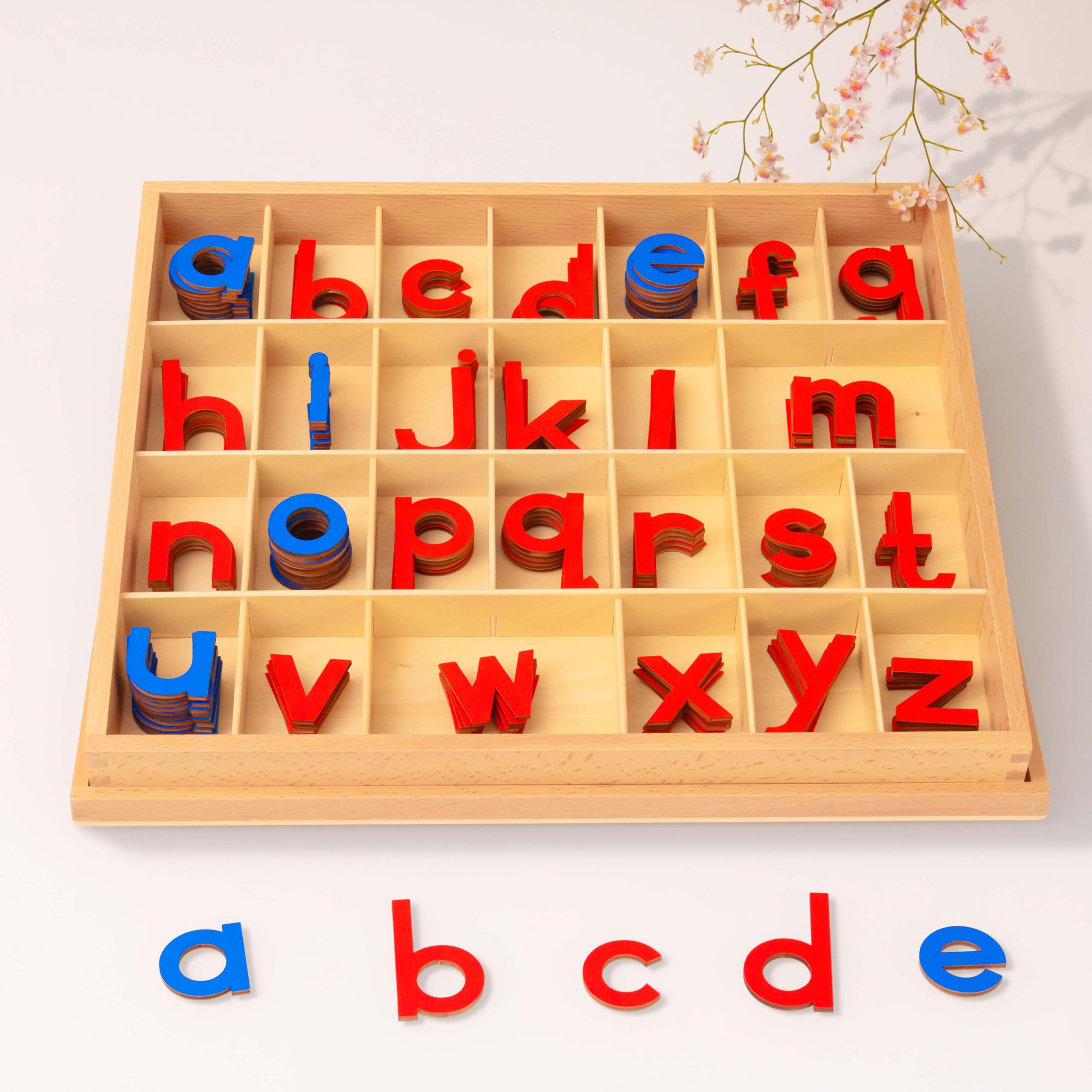 Premium Holzbuchstaben Bewegliches Alphabet 15 Zoll 2.5 lbs | 155 Kleinbuchstaben mit Buchenholz-Box | Montessori Rote & Blaue Buchstaben für erstes Schreiben & Lesen, Klein Bewegliches Alphabet