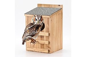 Owl House Screech Owl House with Bird Stand
