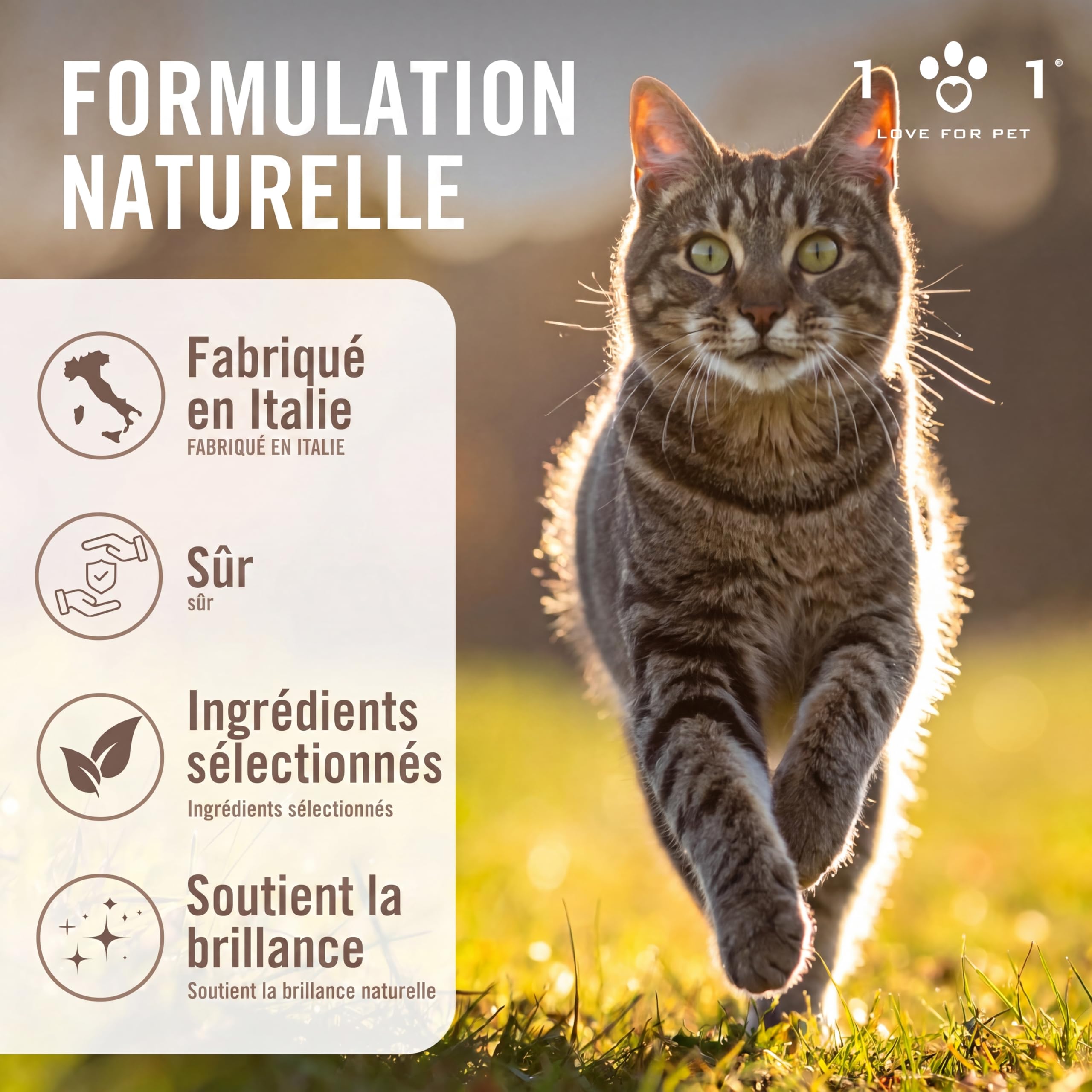 Linea 101 Spray Demelant Chat Poils Longs Naturel 250 ML Démêlant Chat Poils Longs Parfum Chats Délicat Soin Vegan pour Poil Doux et Brillant sans Rinçage Tous Types de Pelage