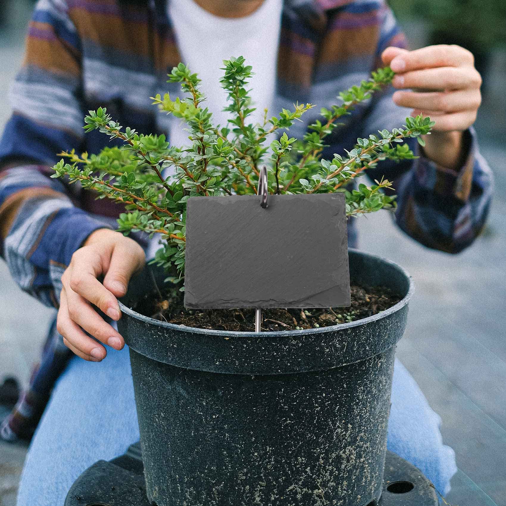ÉTiquettes de Plantes en Ardoise Marqueurs de Plantes de Jardin ÉTiquettes Accessoires de Serre Piquets de Jardin, 15PièCes SéRies