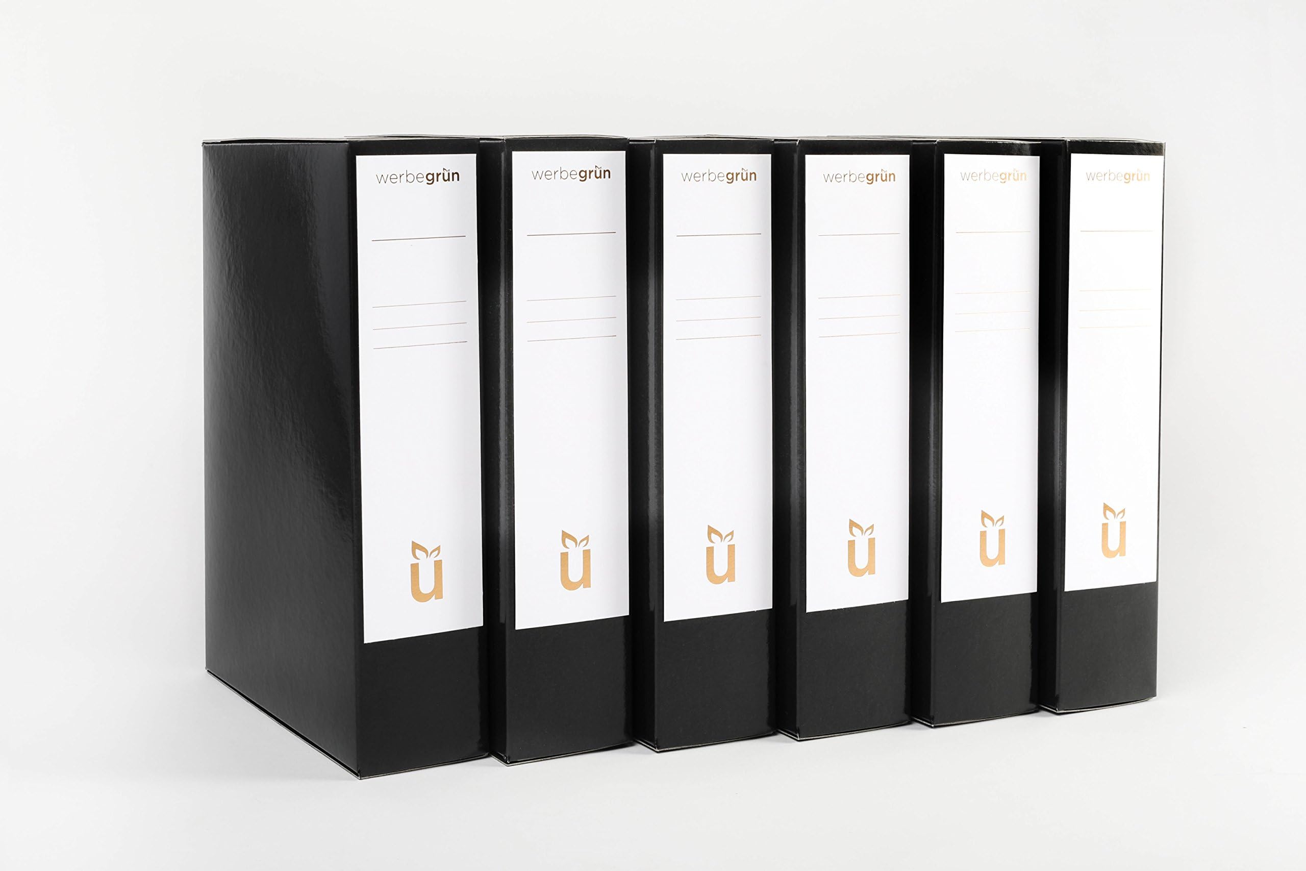 6 High Quality Archive Boxes DIN A4 with Magnetic Closure, Black, Own Manufactured in Germany (Folders Closed, for Documents and Documents, Document Folders, Document Boxes, Collection Boxes)