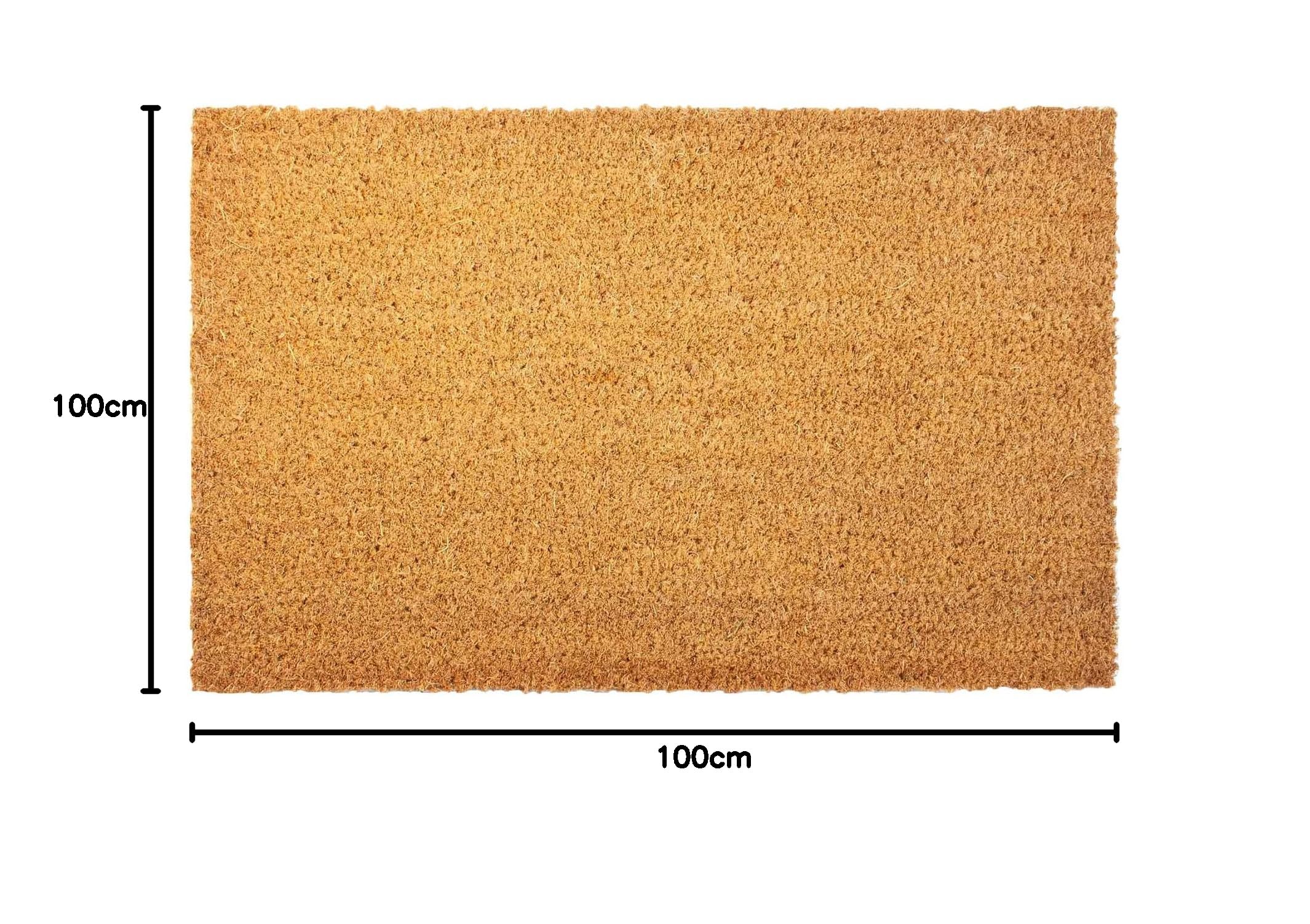 Floordirekt Paillasson en coco pour l'extérieur et l'intérieur - Antidérapant - Pour porte d'entrée, couloir, jardin, terrasse - Naturel - 100 x 100 cm - 17 mm