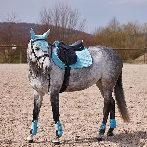 Miniatura 7 de HORZE Adepto Open Front Tendon Boots  Carcasa duradera con forro de neopreno - Canal Blue - Cob