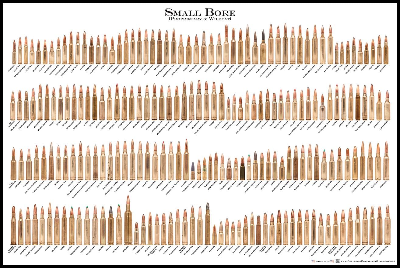 Small Bore Cartridge Poster (Cartridge Comparison)