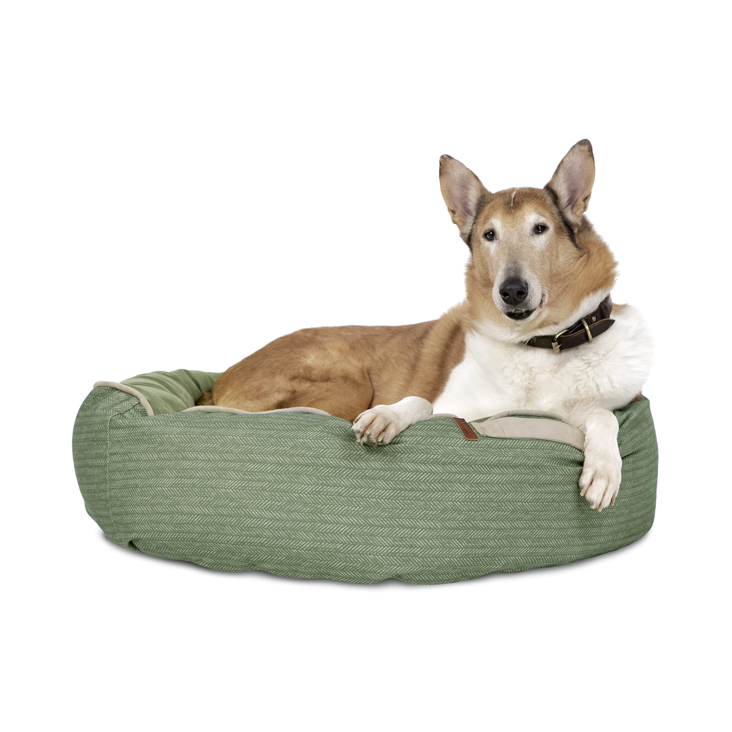 Why Does My Dog Bark Under The Bed