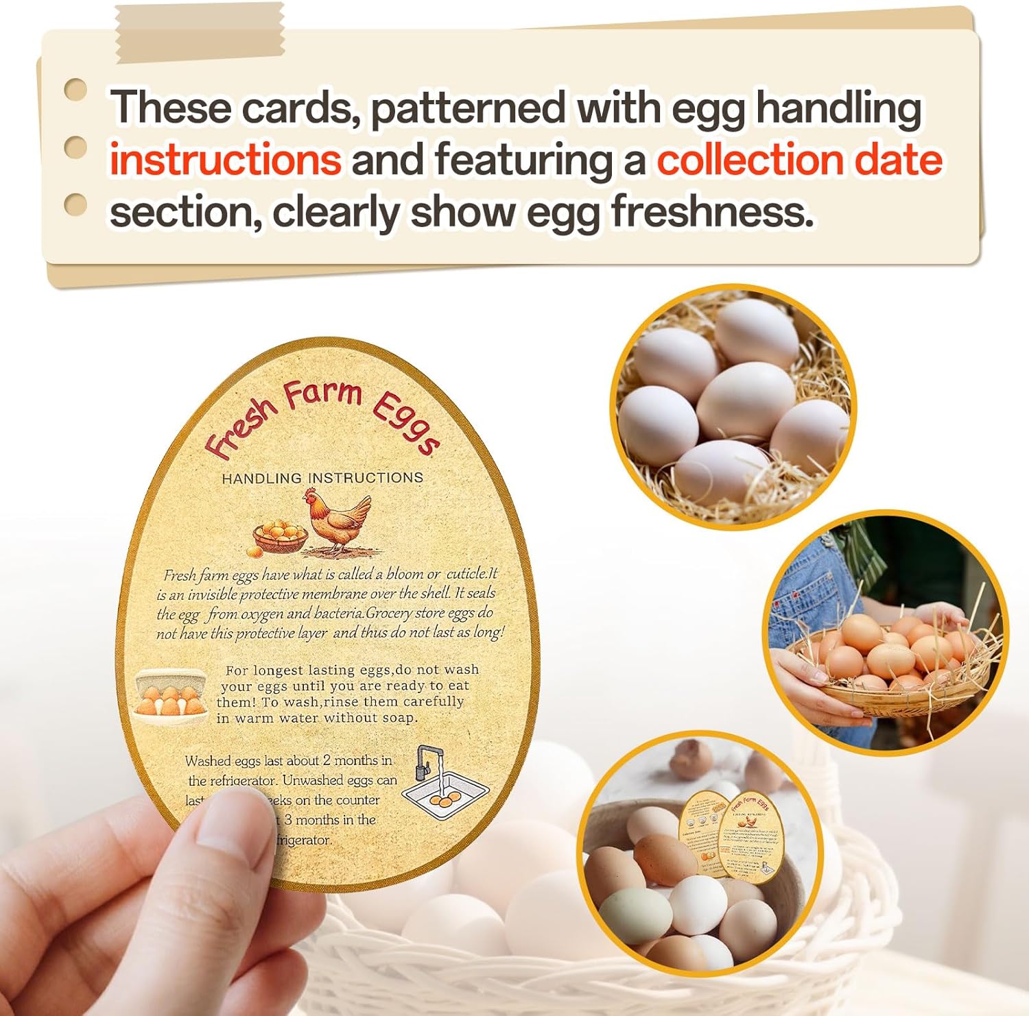 3 in 1 Total 1850pcs Farm Fresh Egg Stickers Set Including 250pcs Handing Instruction Cards,800pcs 2” Round Unwashed just got Laid Carton Stickers,800pcs Rectangular Please Return Egg Carton Labels - Image 4