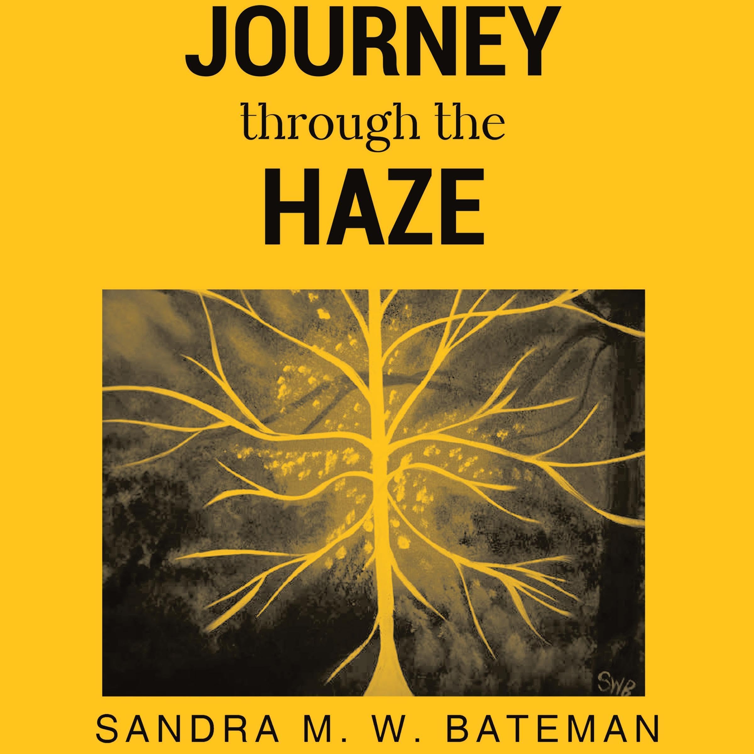 Journey Through the Haze