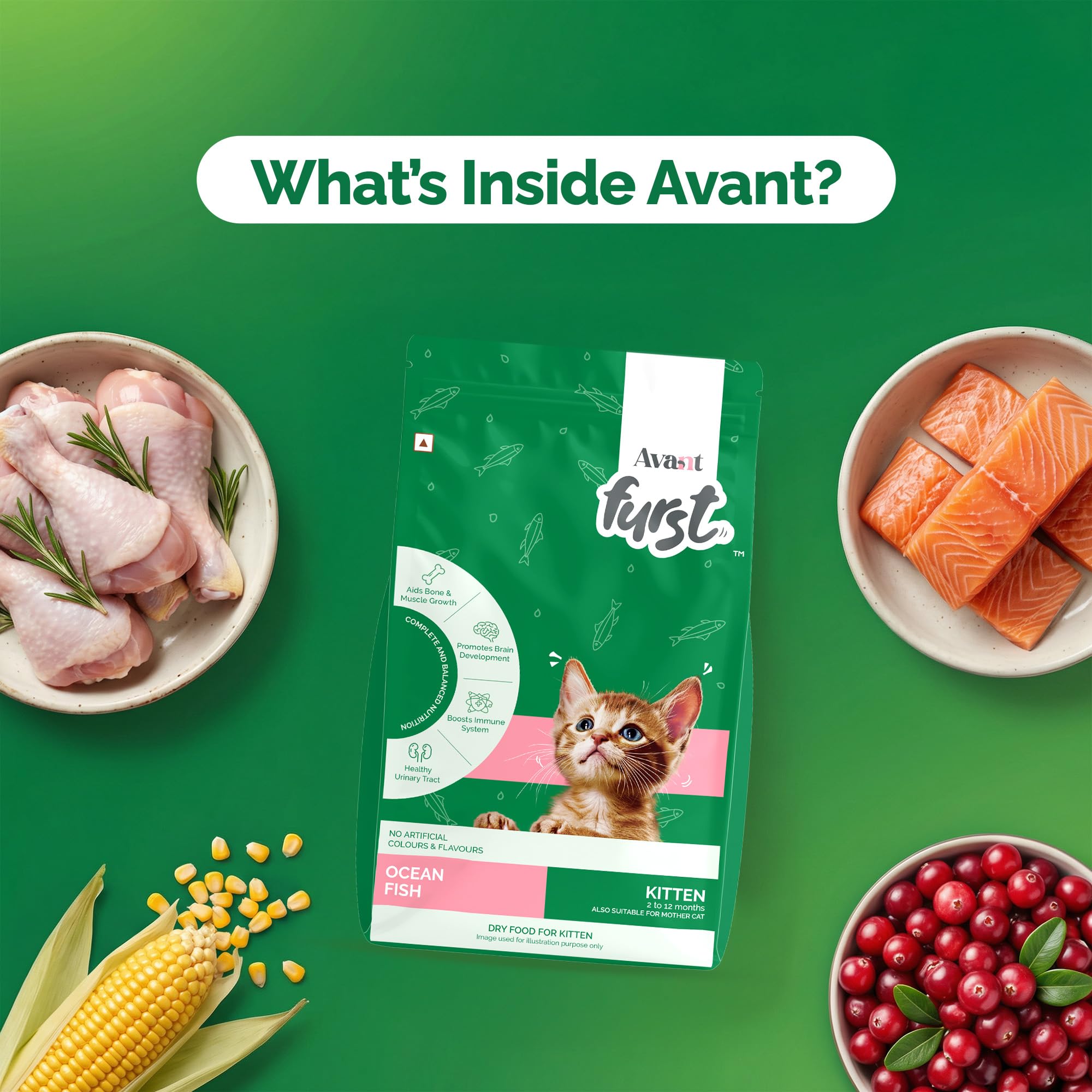 Avant Furst Kitten Dry Cat Food with Ocean Fish Flavor, Dry Kitten Food for 2β12 Months, No Artificial Additives, 2.8 kg 3