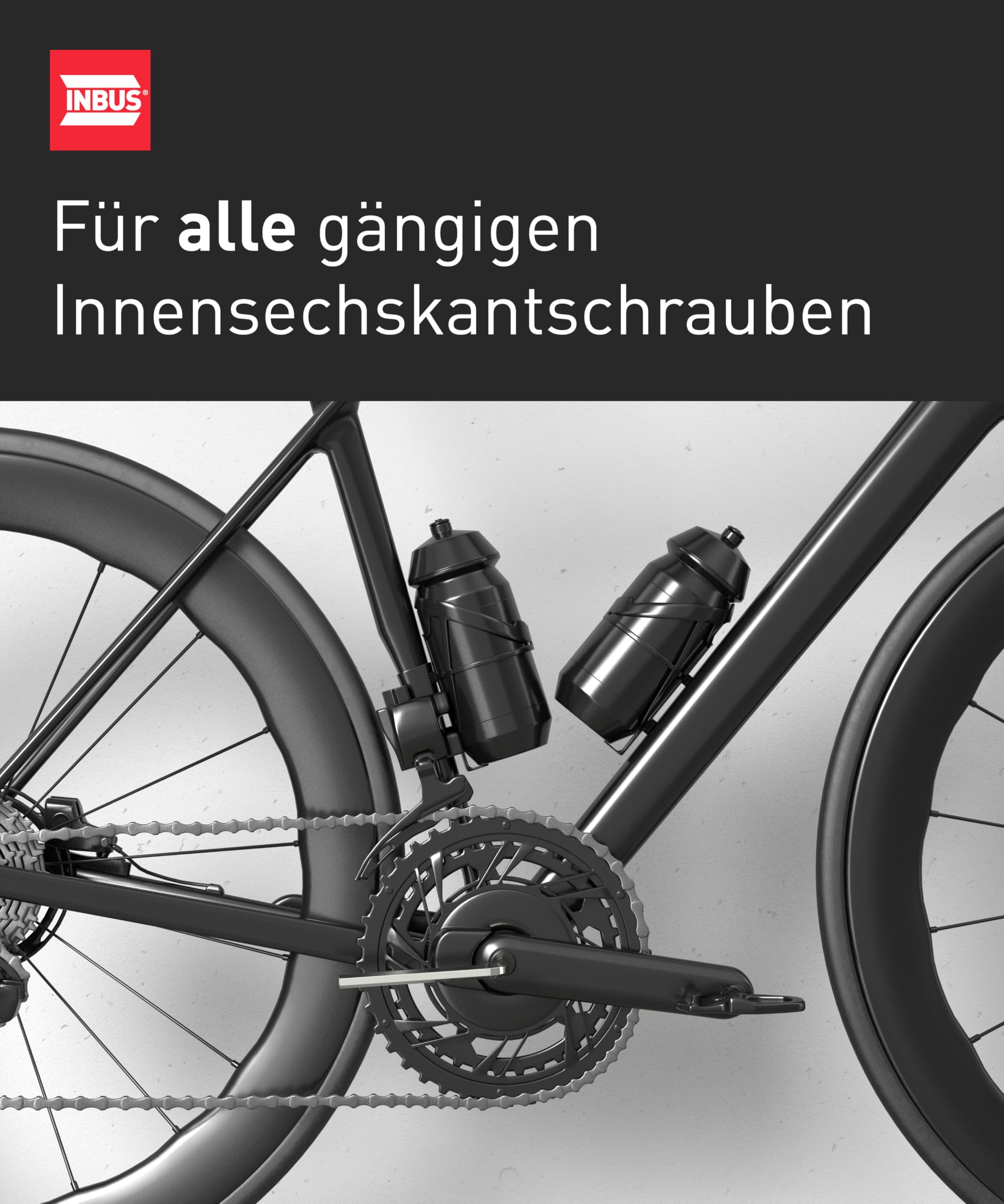 INBUS® Clé Allen 5mm, 100pcs | Das Original. Made in Germany. (ID: 73486)