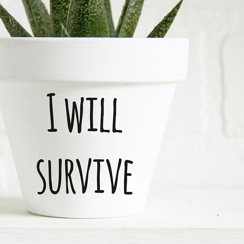 I Will Survive Terracotta Plant Pot. White or Distressed Boho Plant Pot. Large and Small, Indoor
