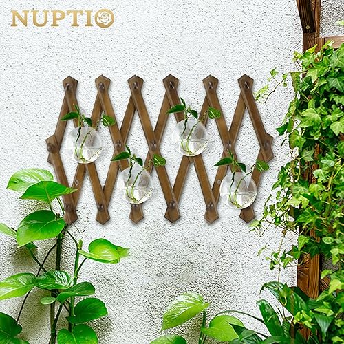 Miniatura 2 de NUPTIO 4 macetas colgantes de pared de vidrio, terrarios, macetas redondas de vidrio, jarrones colgantes de vidrio para plantas, terrarios,