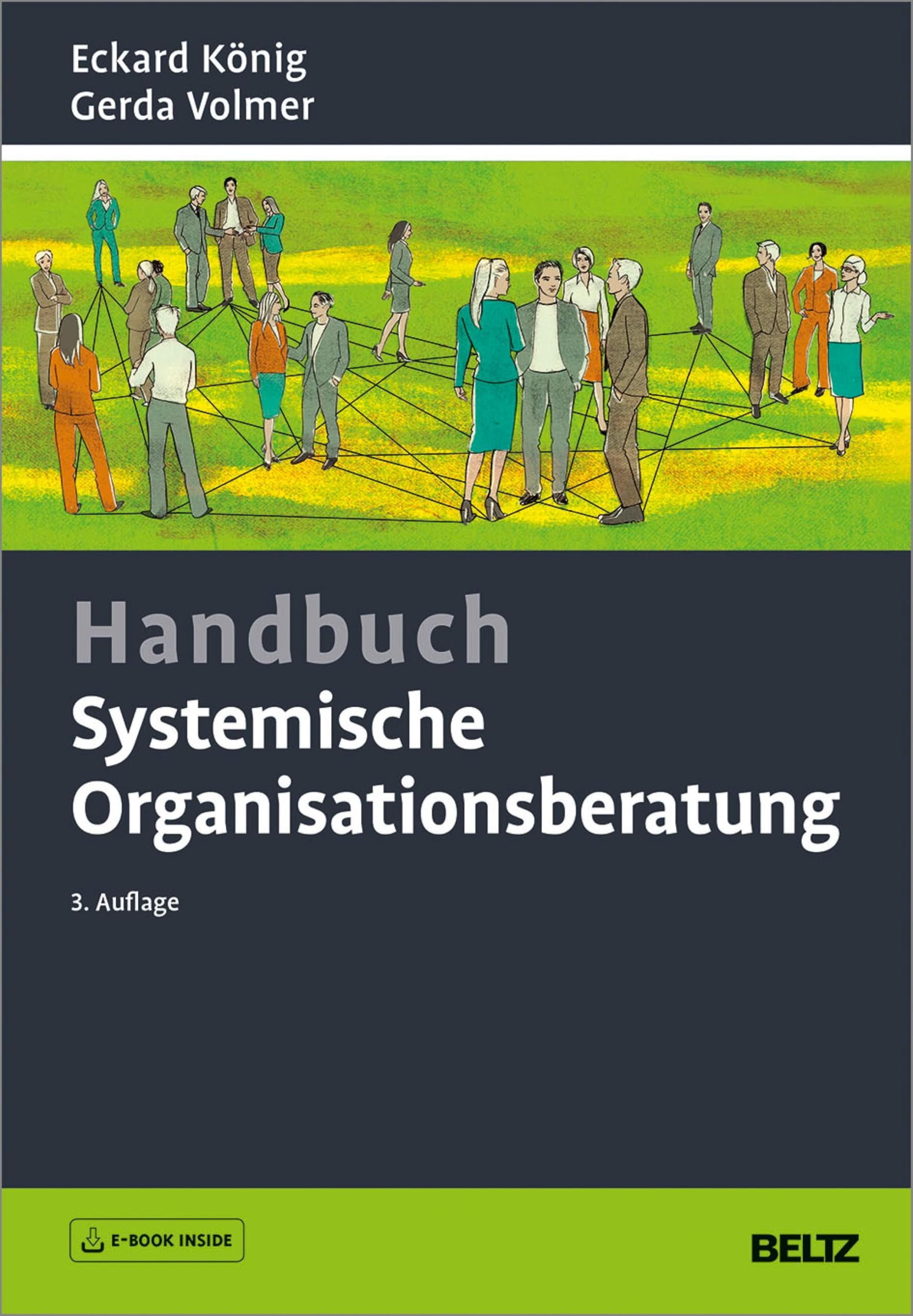 Handbuch Systemische Organisationsberatung: Mit E-Book inside