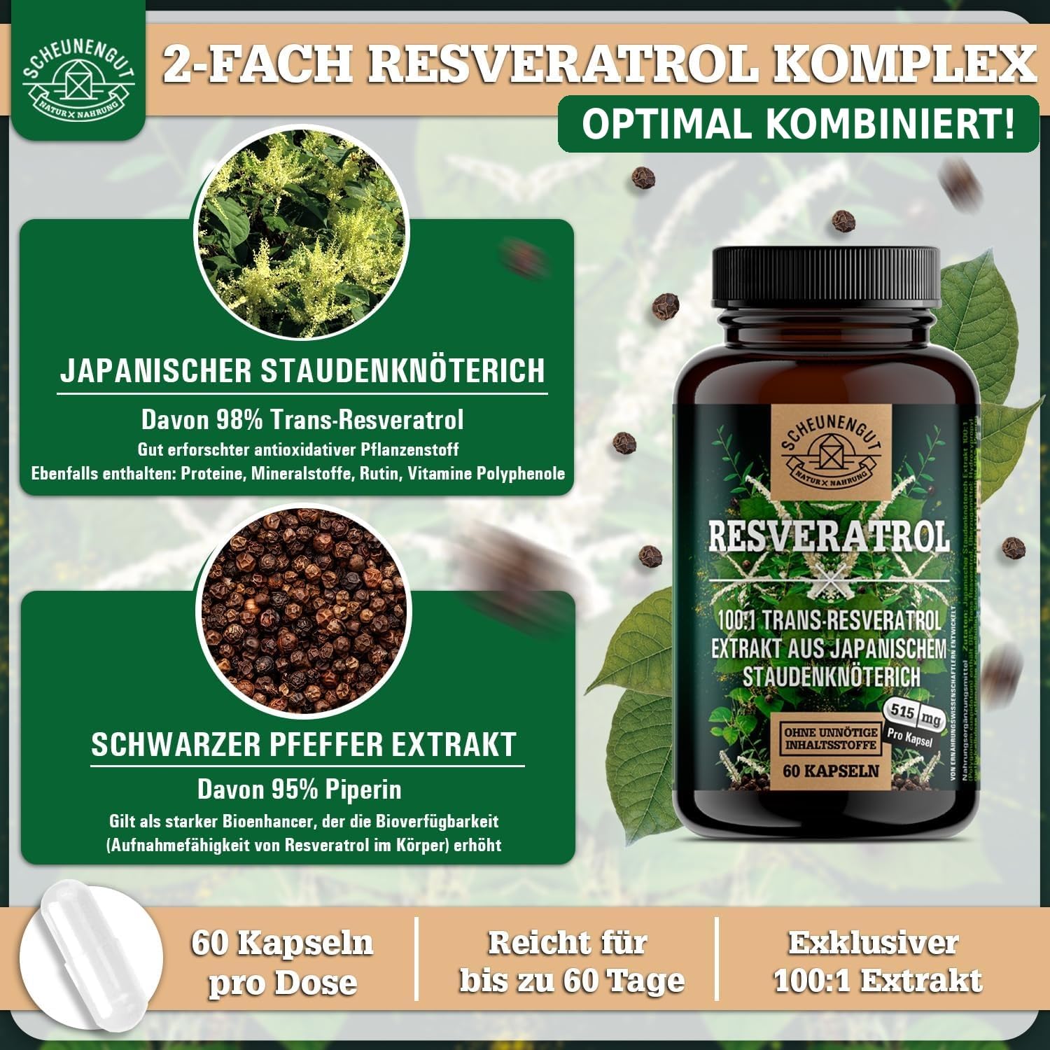 Resveratrol 1000mg -WICHTIG: 100:1 Extrakt (=100000mg jap. Staudenknöterich Wurzel je Tagesdosis) +Piperin -98% Trans-Resveratrol Hochdosiert- Laborgeprüft +Vegan DE SCHEUNENGUT®