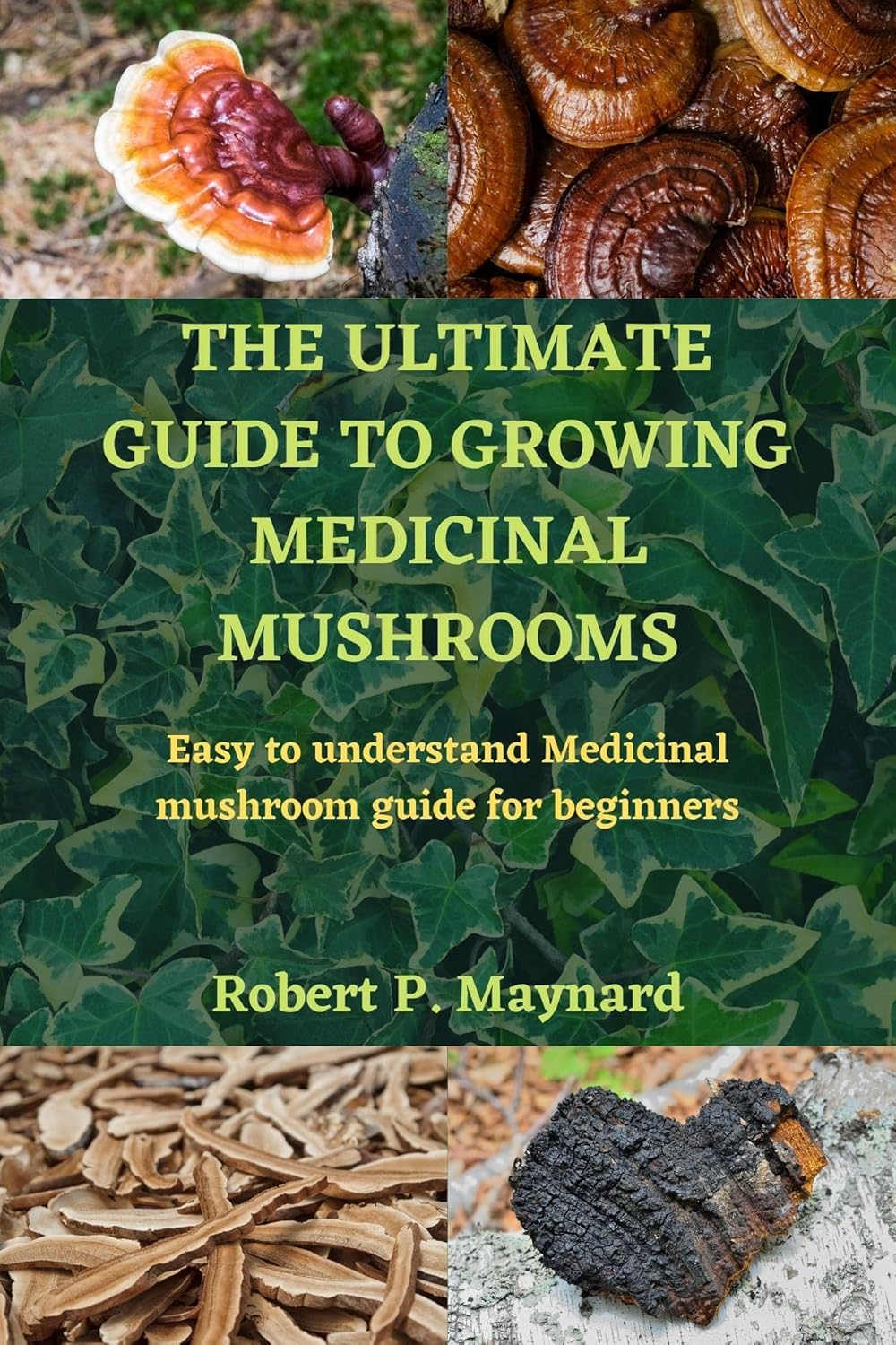 The ultimate guide to growing medicinal mushrooms Easy to understand