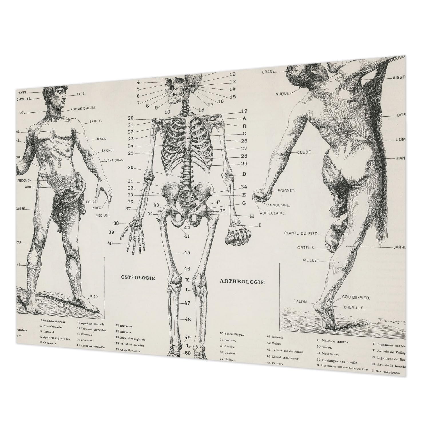 Papier peint intissé 312x219 cm grand format salon Tulup