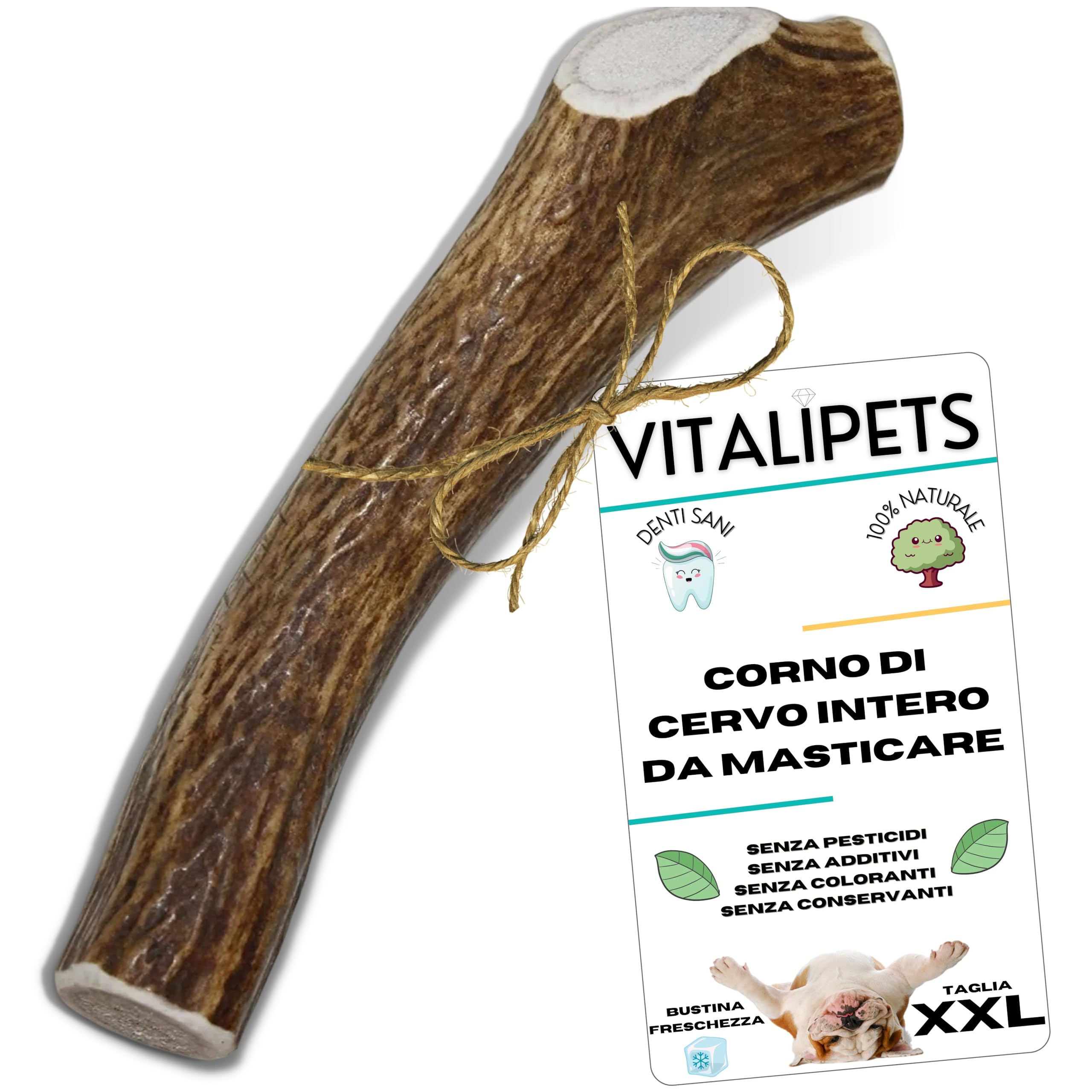 Corno di Cervo per Cani XXL Più di 35 Kg, Pulizia Denti Naturale, Alternativa agli Ossi
