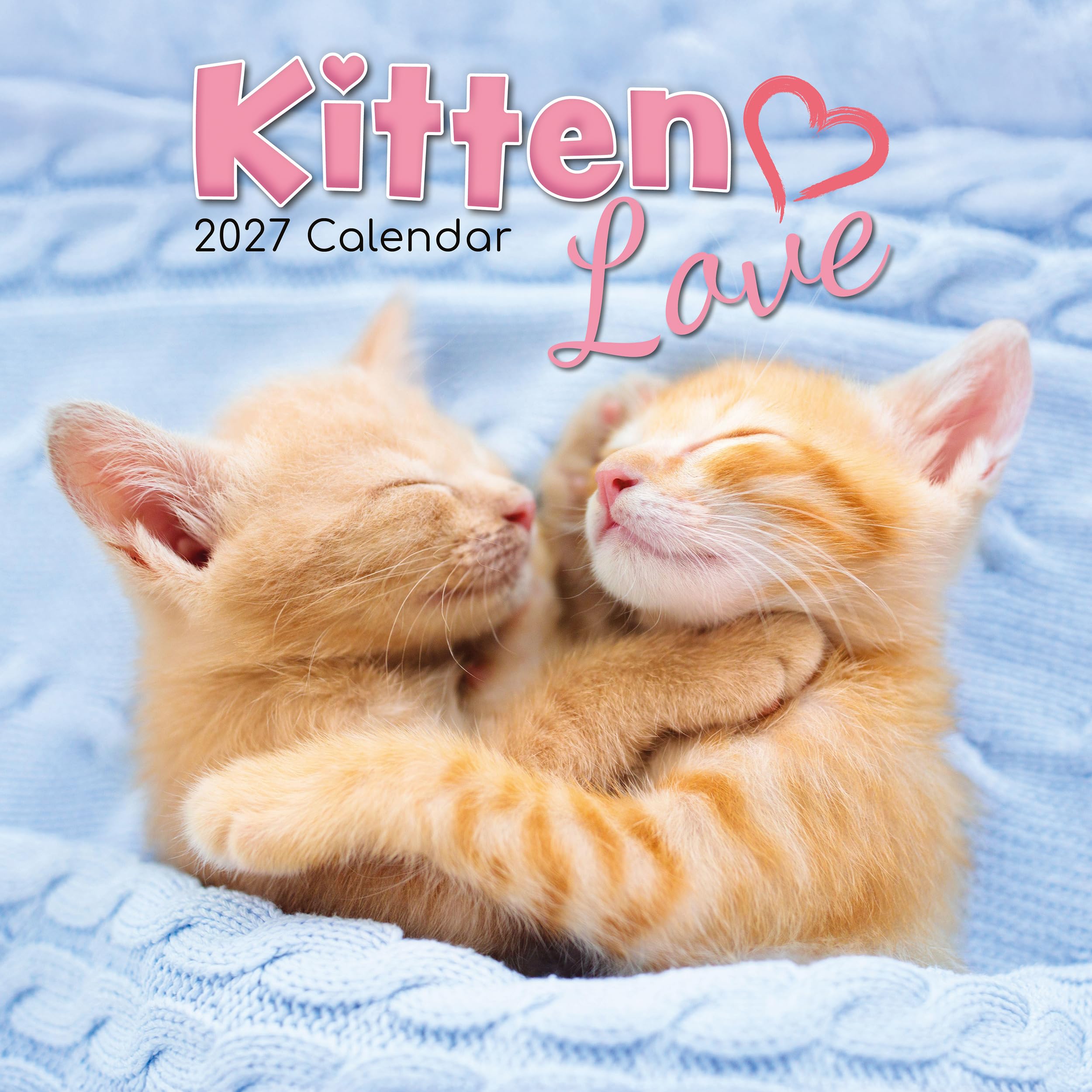 TGSC | Kitten Love 2026-2027 Calendar, 16-Month Square Wall Calendar (Sept 2026 – Dec 2027), UK Planner with Cats and Kittens, For Cat Lovers, Home Decor, Office Organiser | 30 x 30 cm