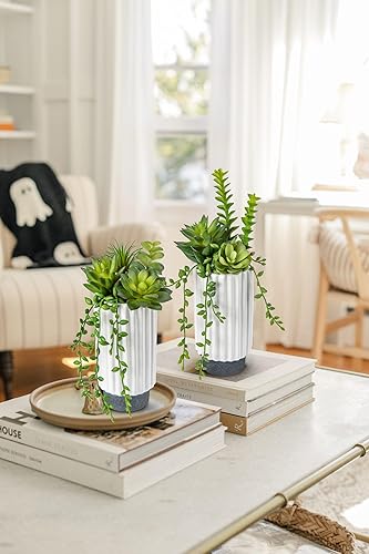 Miniatura 7 de Hollyone Juego de 2 plantas suculentas artificiales de 9 pulgadas, plantas suculentas falsas en maceta de cerámica, plantas suculentas para