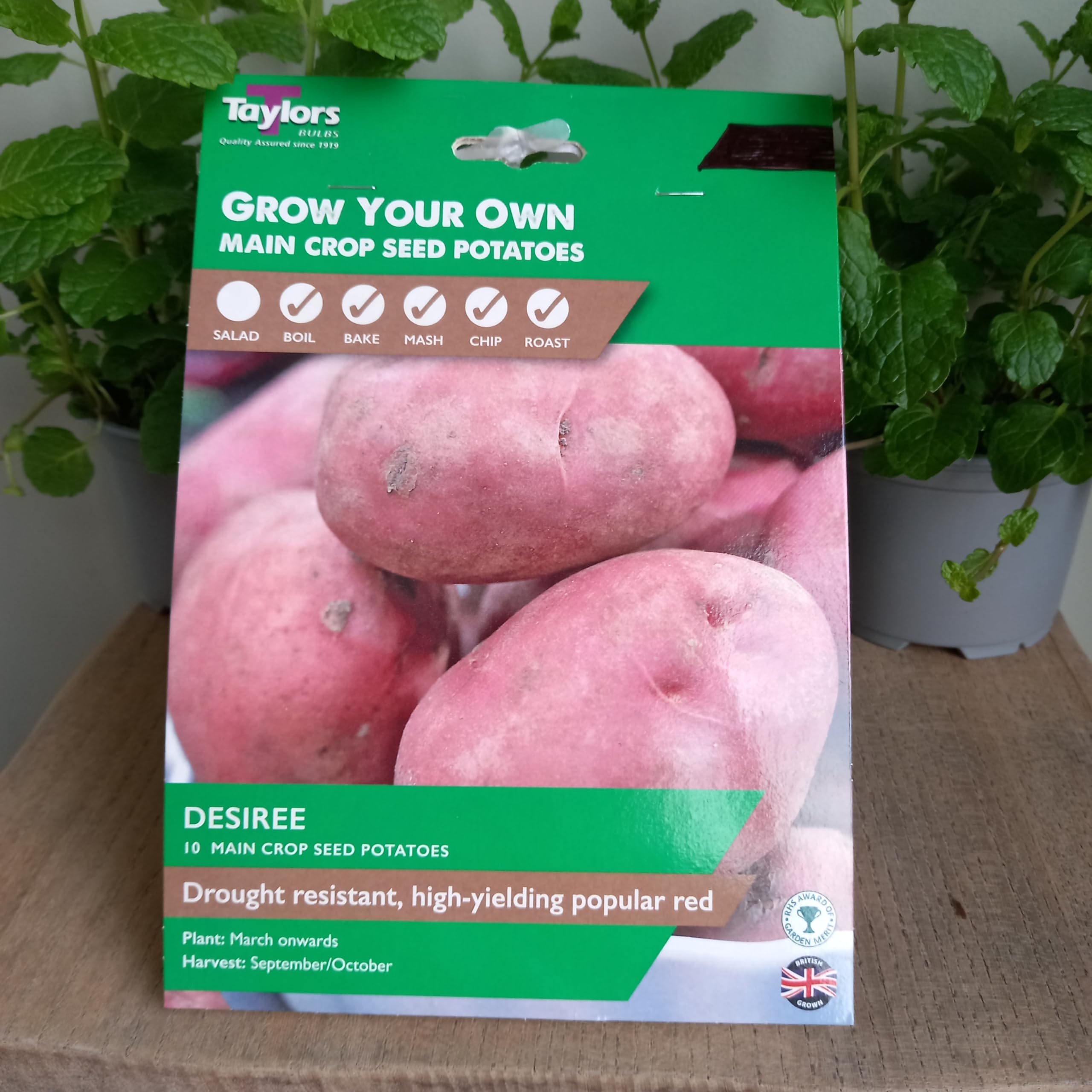 Potato Desiree x 10 Seed Potatoes - Easy-to-Grow Potatoes - Grow Your own by Park Farm Plants