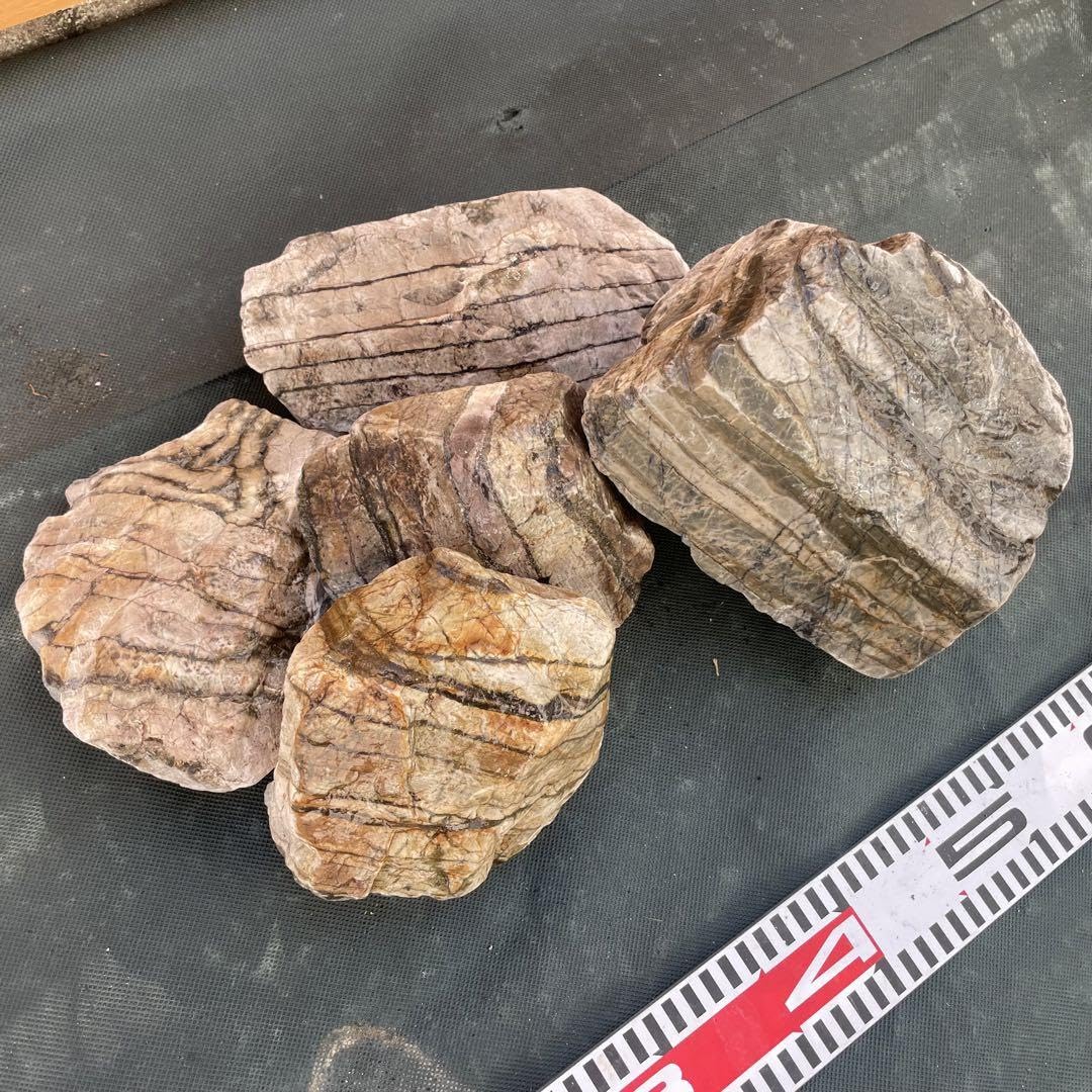 Amazon.co.jp: 守山石 銘石 園芸 造園 京都 枯山水 小川治兵衛 : おもちゃ