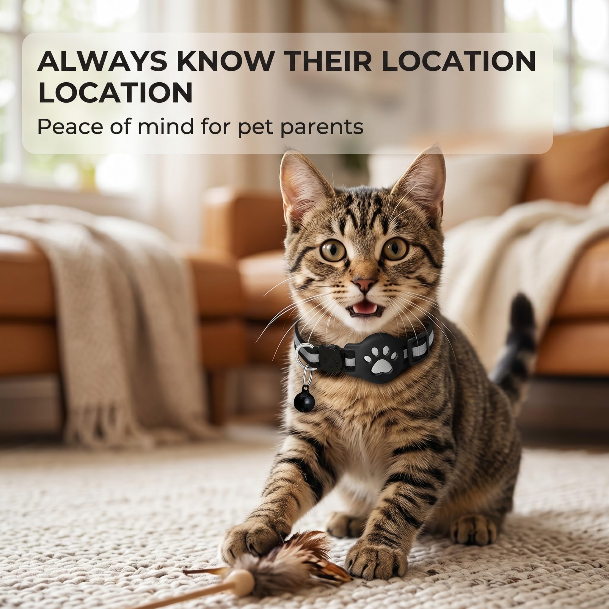 collar con GPS para gatos, resistente al agua y duradero, con elementos reflectantes para la noche, que te ayuda a localizar a tu mascota (color negro)