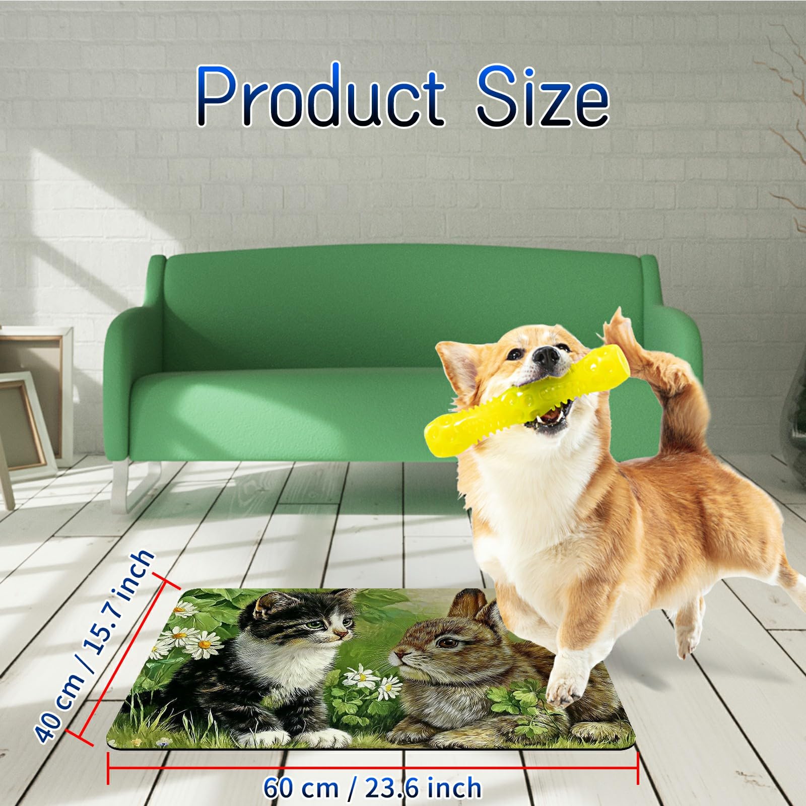 View 5