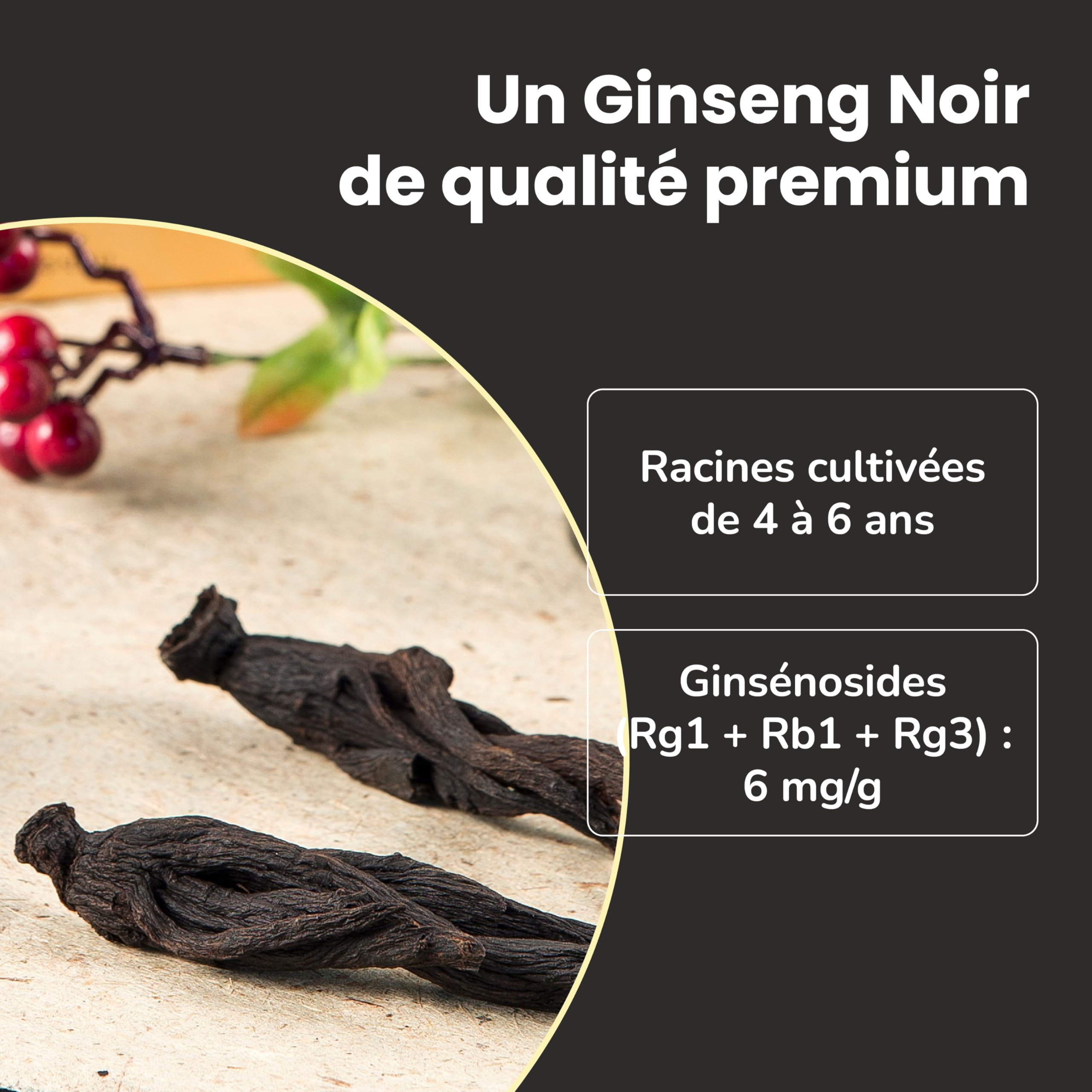 SAMSIDAE - Extrait de Ginseng Noir Coréen, Renforcé en Ginsénosides, Saponines 80 mg/g, Racines de 4 à 6 ans, Qualité Supérieure, Cure de 45 Jours, 50g