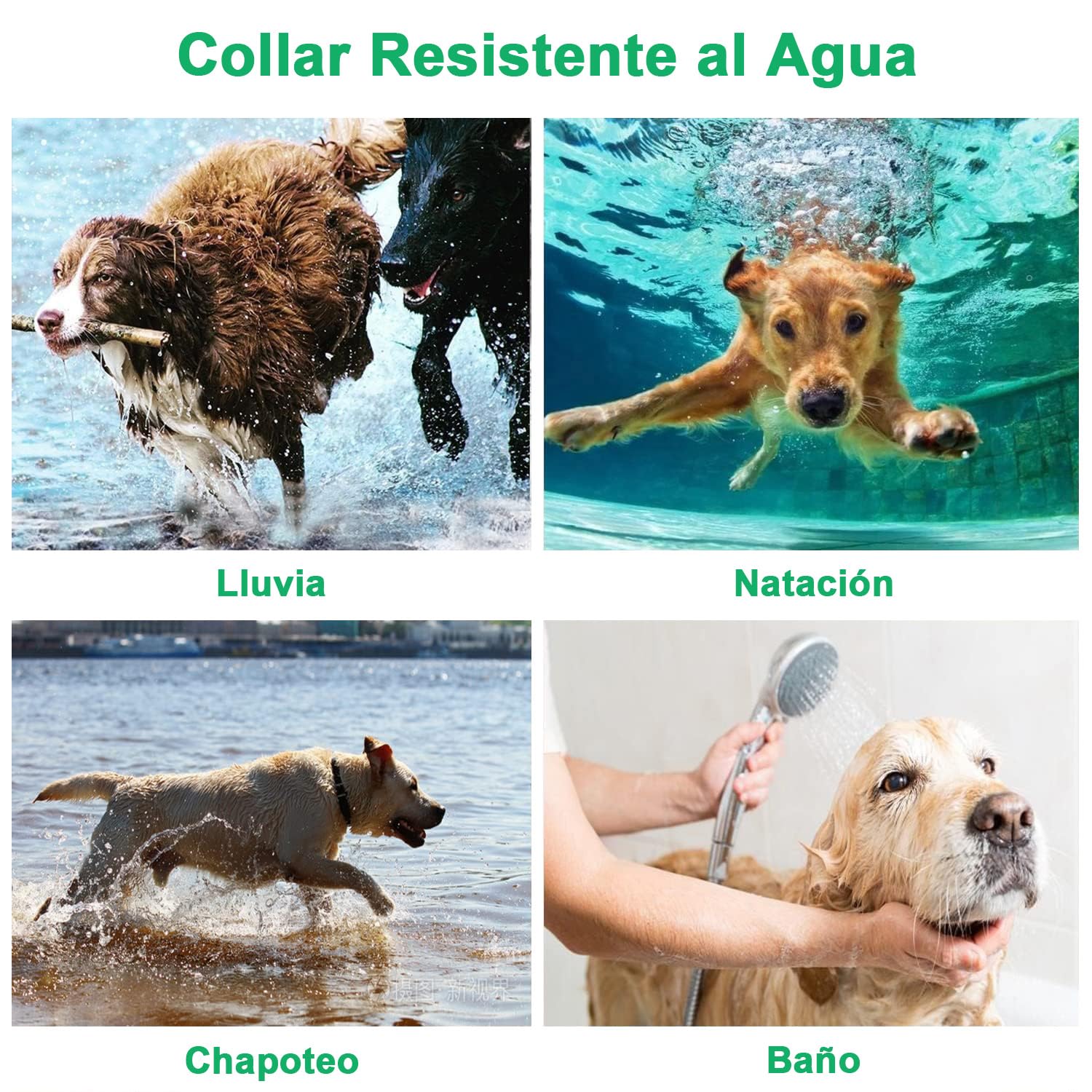 Collar de Adiestramiento para Perros, Sin Descarga Eléctrica, Collar Recargable con Función de Vibración Potente, Alcance 1000 Metros