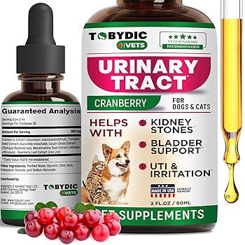 Natural Cat Remedies for Urinary Tract Infection: Effective & Safe Solutions