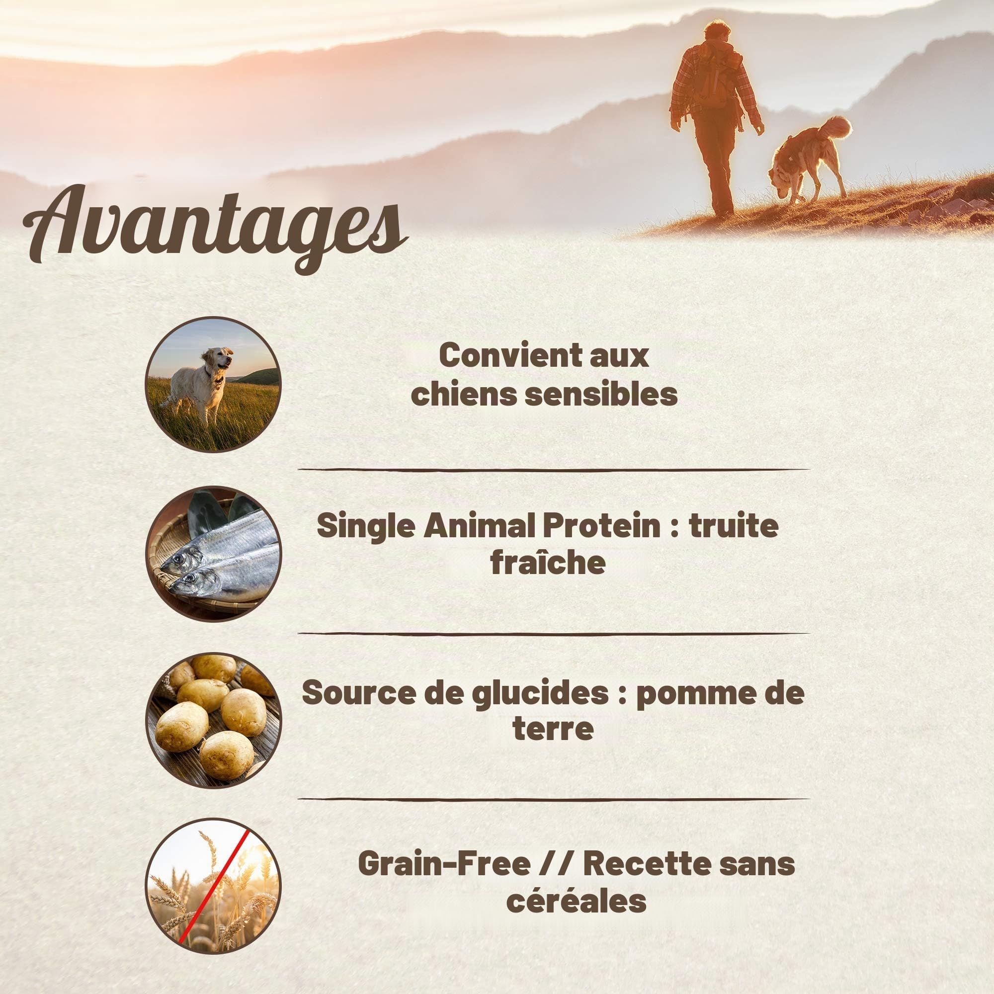 bosch HPC PLUS Truite et pomme de terre - Croquettes pour chiens adultes de toutes races - Monoprotéines - Sans céréales - 1 x 12,5 kg