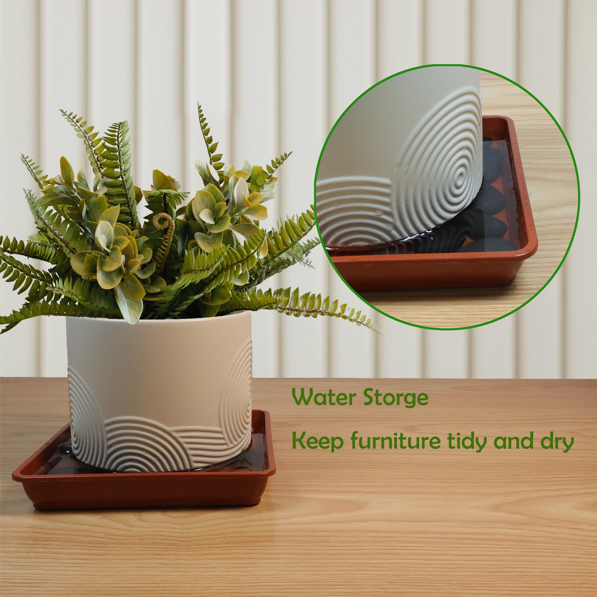 Amazon.com : TNTIWQ 5 Pack 6 Inch Square Plant Saucers for 5 Inch