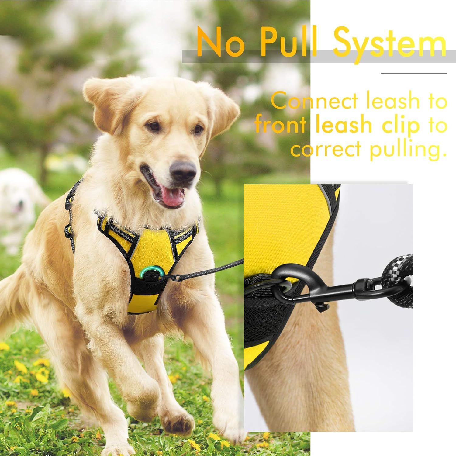 rabbitgoo NoPull Dog Harness Vest Harness Adjustable Outdoor