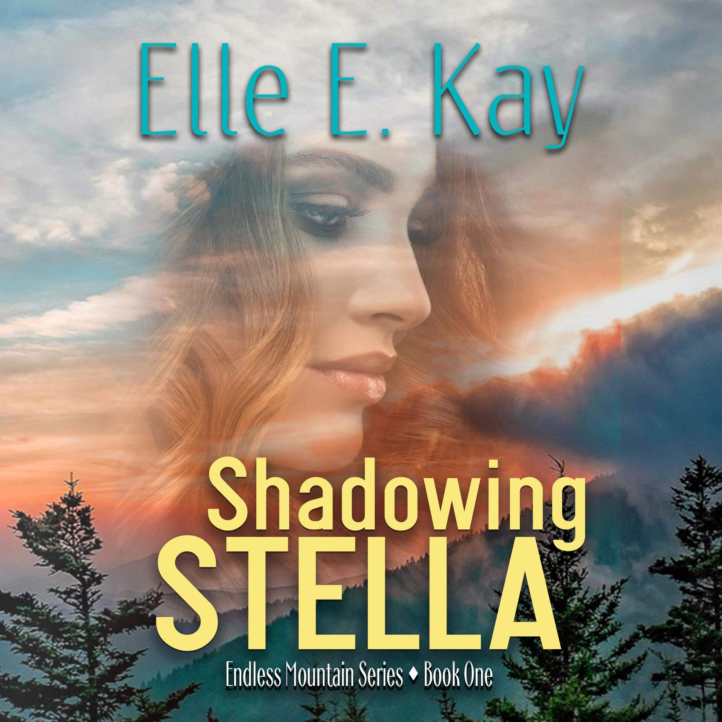 Cover art for Shadowing Stella: A Christian Romantic Suspense Novel