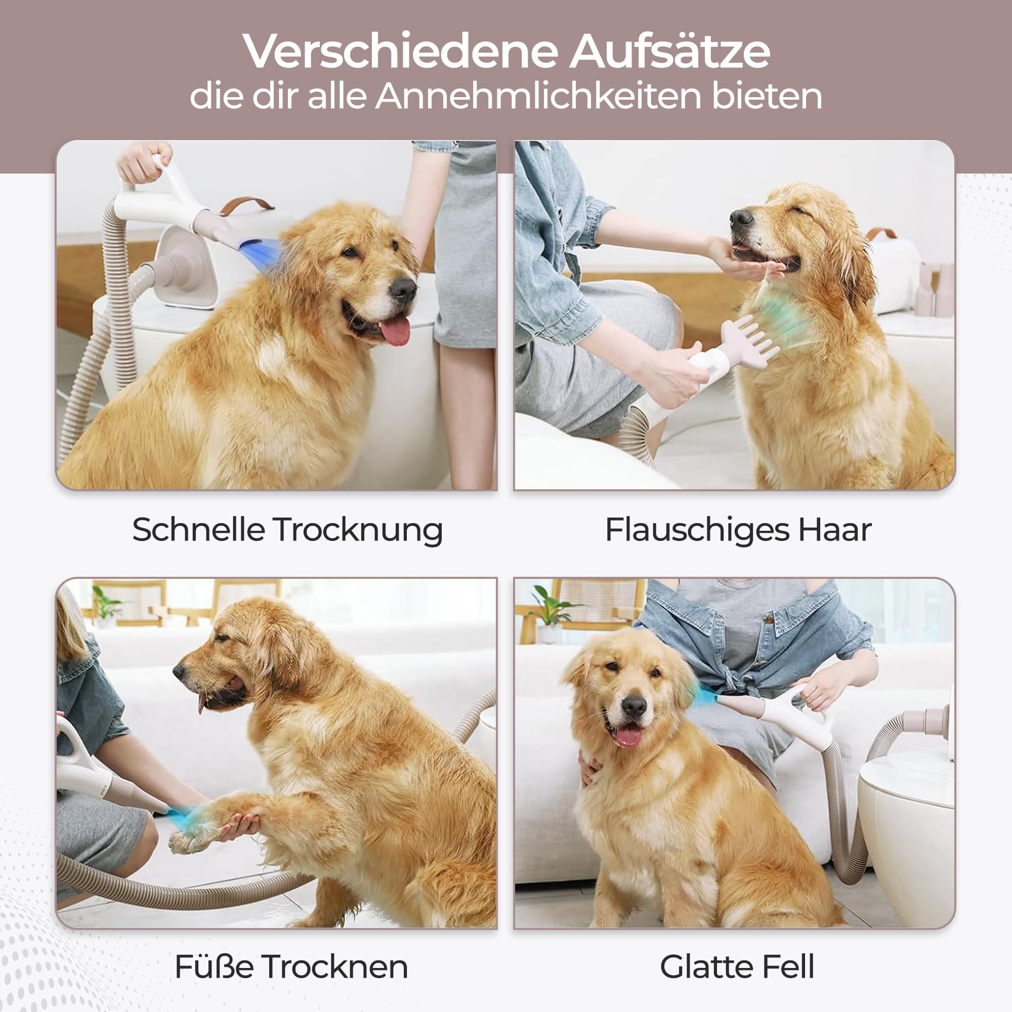 Olvy Hundefön Hundetrockner für Hundepflege Tierfön mit Einstellbarer Windgeschwindigkeit, Hundetrockner mit 4 Düsen, Hundepflege-Trockner-Gebläse