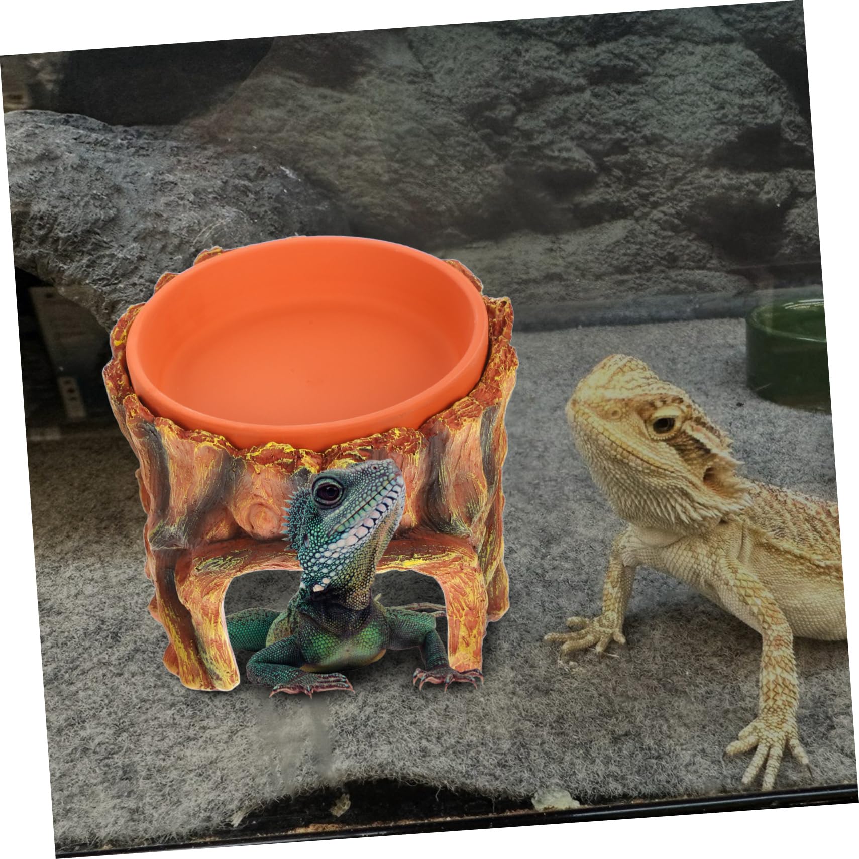 Nascondiglio Per Rettili in Resina Nascondiglio Per Gechi Leopardo Accessorio Per Acquario Decorazione Per Acquario