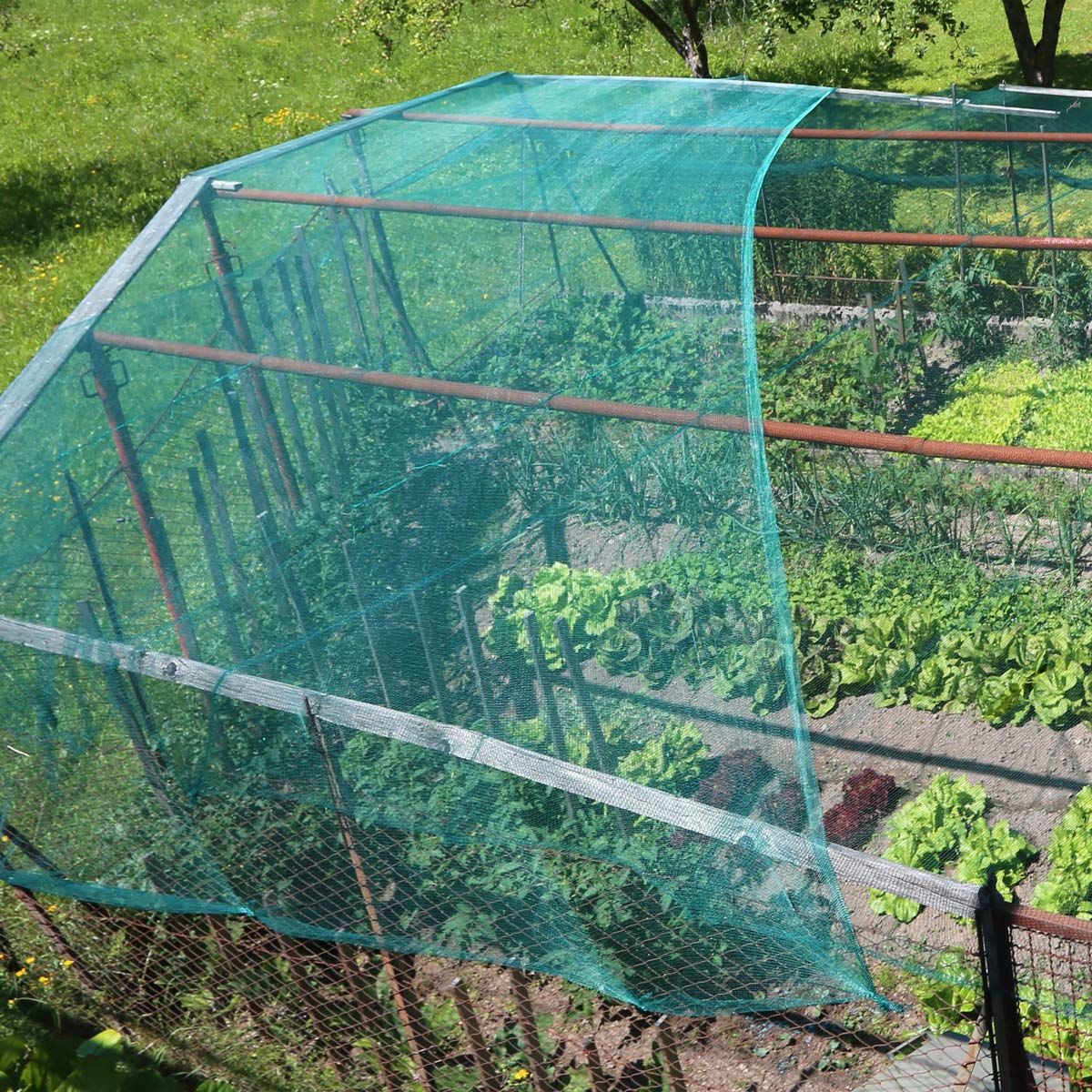 HOLZBRINK Filet d’Ombrage Potager 90%, Brise-Vent pour Serres 135g/m², Vert Foncé, Hauteur : 200cm, Longueur : 50ml, HZB-01D-200-50