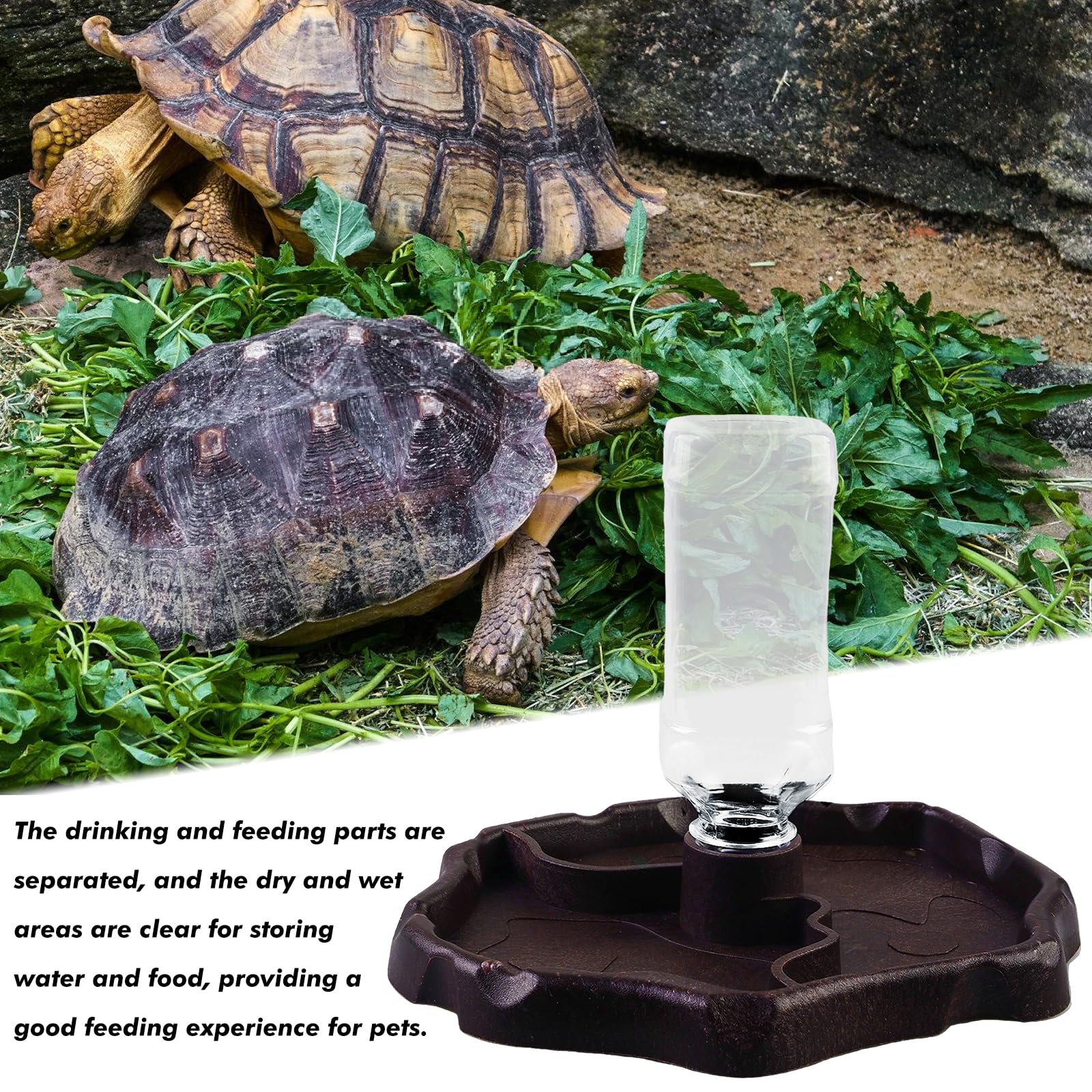 Vegena 2pcs Distributore Di Acqua Per Rettili 2 In 1 Ciotola Rettili Acqua Alimentatore, Ciotola Per Mangiatoia Per Tartarughe Ciotola Per Rettili Automatico Per Tartarughe Scorpioni Lucertole