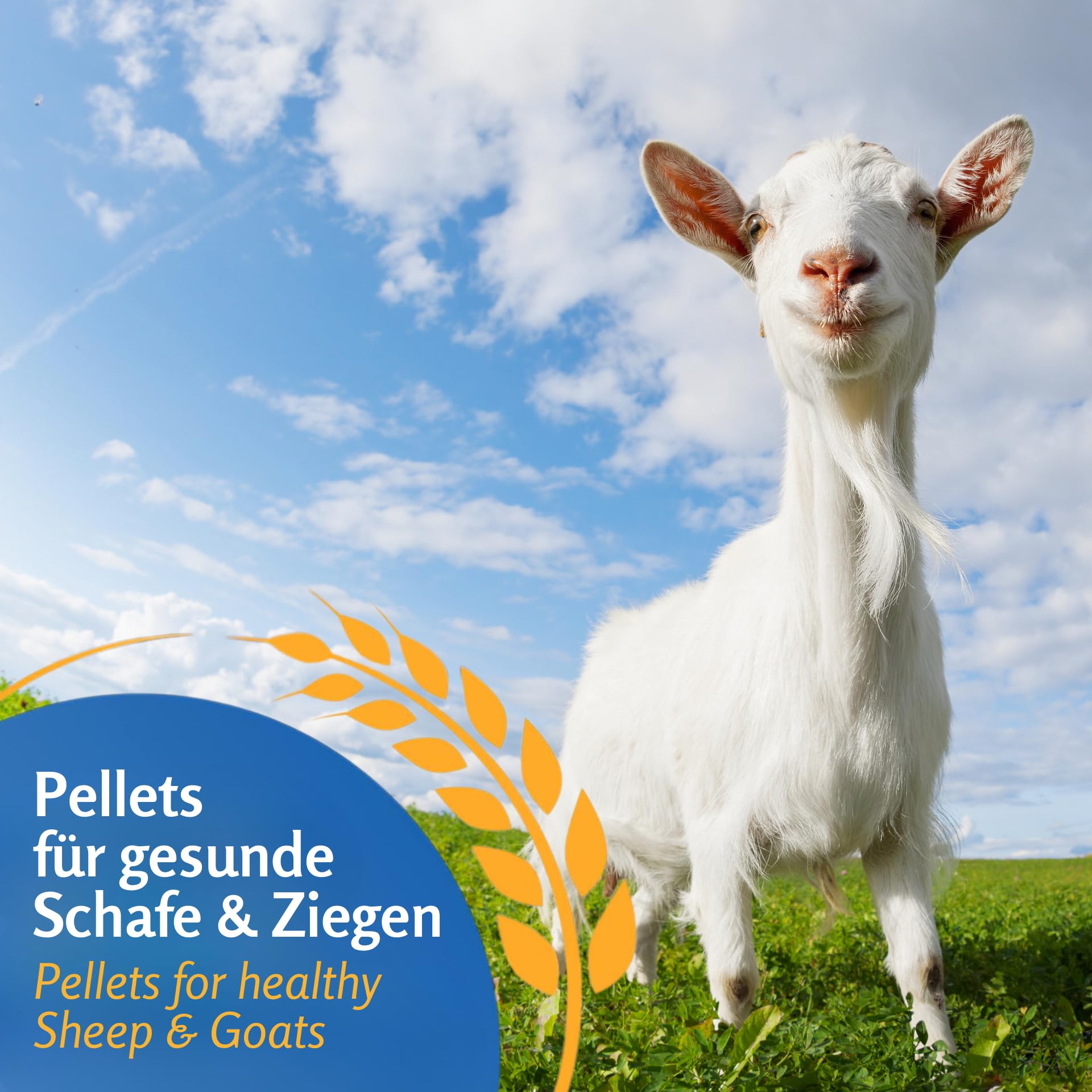 Leimüller Schaffutter Ziegenfutter Pellets 25kg Lämmer Schafe Ziegen | 100% gentechnikfrei, staubarm, Kraftfutter für Schafe, Ziegen & Lämmer, aus Österreich