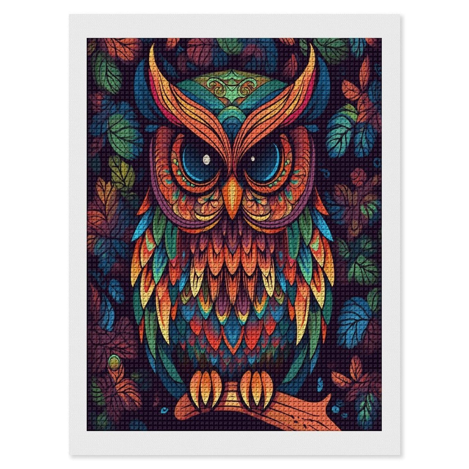 FodPand Color Owl Pattern Diamond Painting Kit for Beginner Fun 5D DIY Crafts for Adults Diamond Art Kits Square Diamond Art Canvas Painting Gem Art Crafts for Home Wall Decor 12"x16"