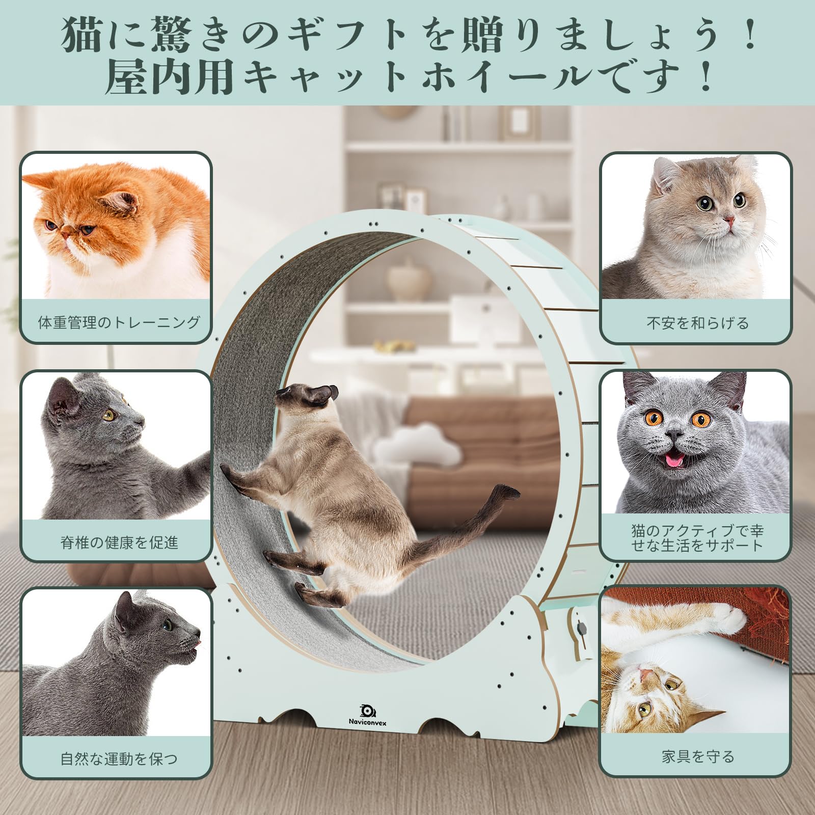 Naviconvex キャットホイール らくらく組立式 ペット用ルームランナー Amazon.co.jp: Naviconvex キャットホイール 猫の車輪 XL 直径