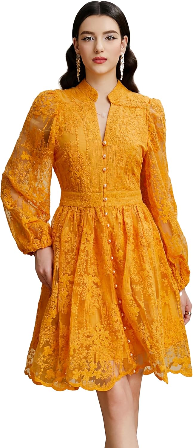 LAI MENG FIVE CATS Women's V-Neck Lace Floral Lantern Sleeve Mesh Embroidery Button Pleated Mini Dress