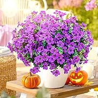 Vista 14 de Regalos para mamá, Día de la Madre, regalos de cumpleaños para mujeres, regalos de mamá para el día de la madre de parte de la hija, flores