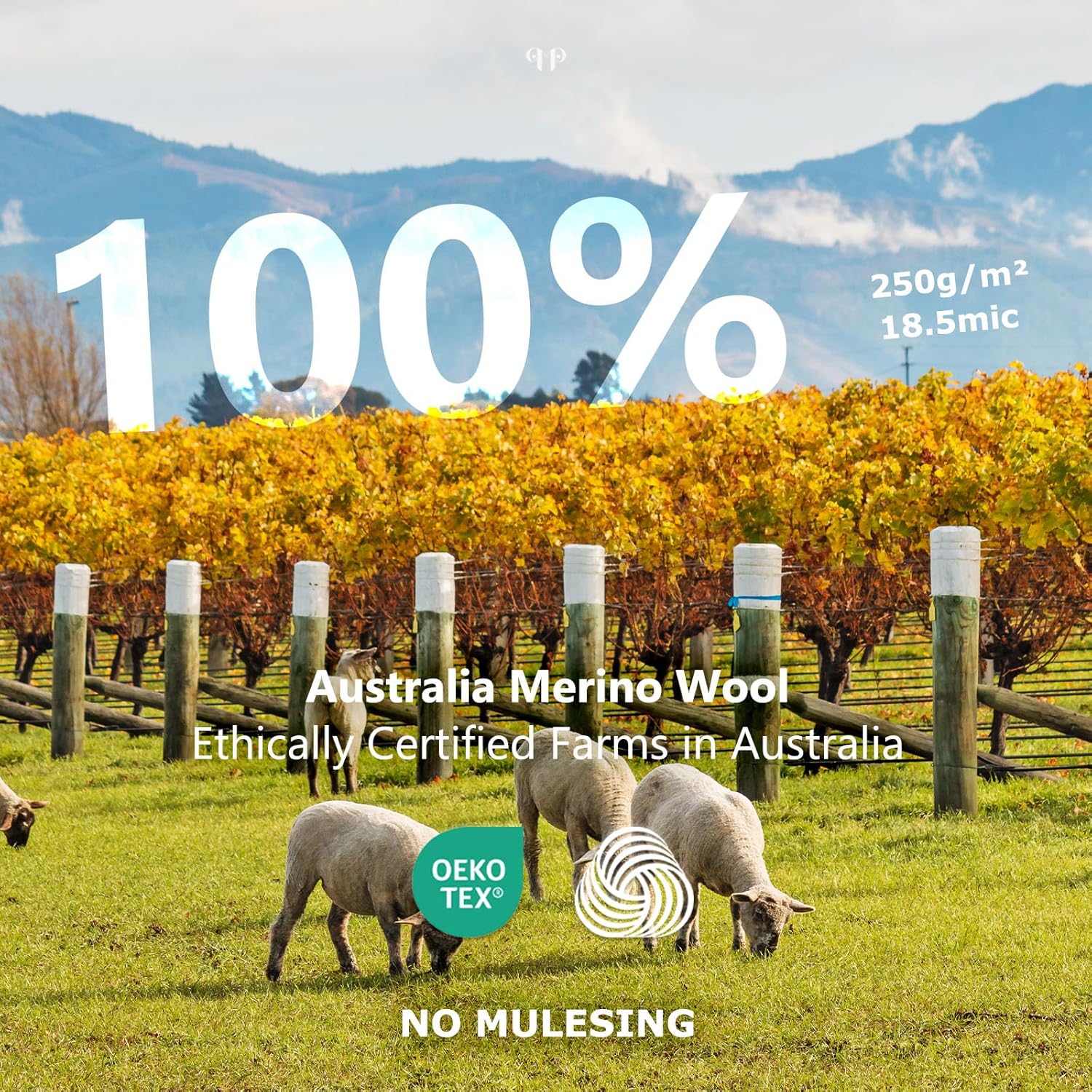 Merino Protect 100% Merino Wool Base Layer Mens Set Thermals Odor Resistance Underwear For Cold Weather