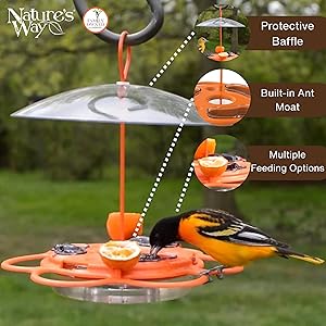 Nature's Way OFP1 All-in-One Oriole Buffet Bird Feeder, Orange