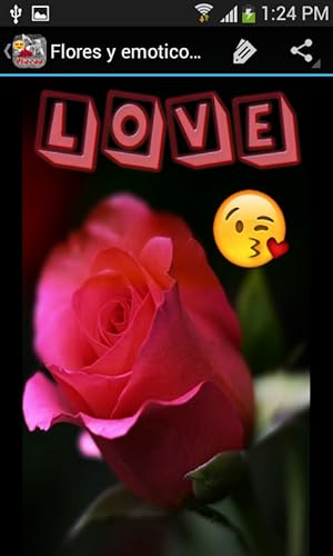 Flores para todos