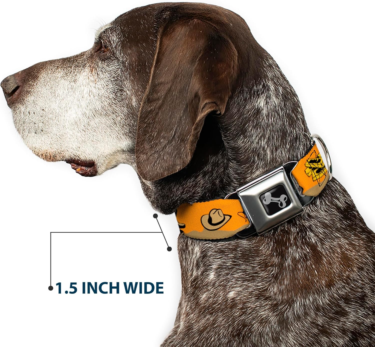 Buckle-Down Seatbelt Buckle Dog Collar - Old Western Multi Color - 1.5" Wide - Fits 16-23" Neck - Medium