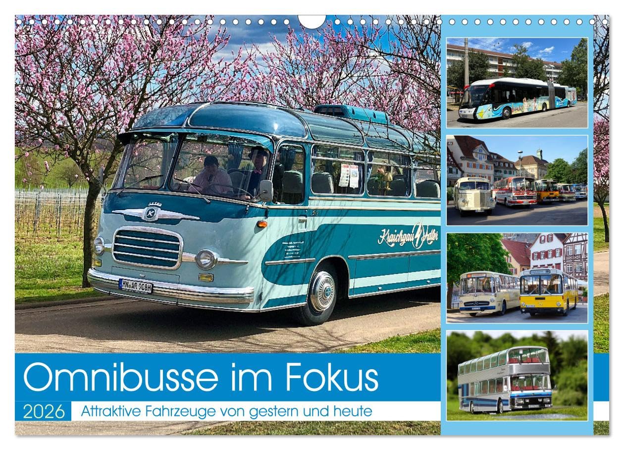 Focus on buses UK-Version (Wall Calendar 2026 DIN A3 Landscape), CALVENDO 12 Month Wall Calendar