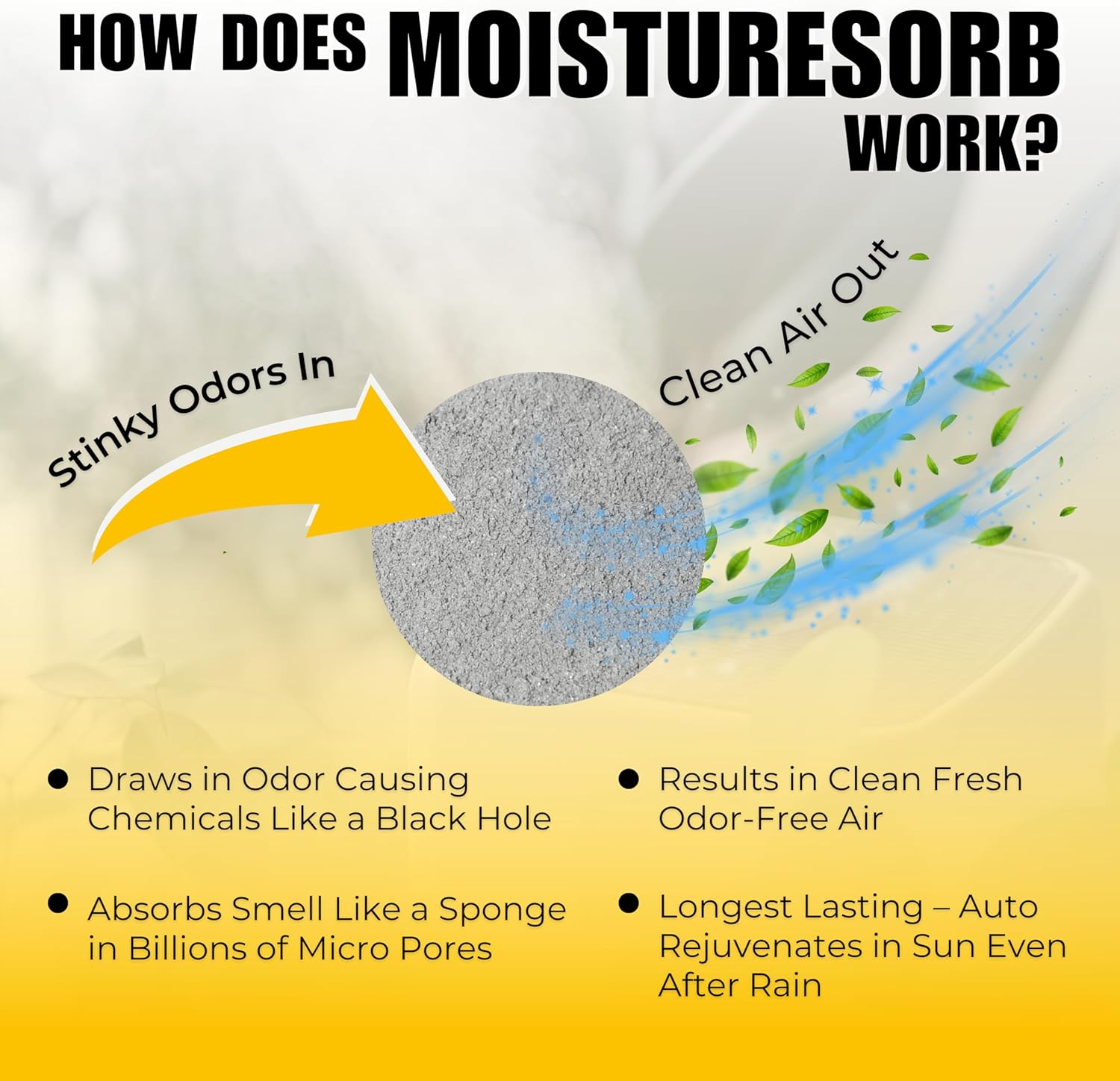 Natural Moisture Remover Granules: 2 lb. Bottle - 4mm Granules Sprinkle in Moist Areas